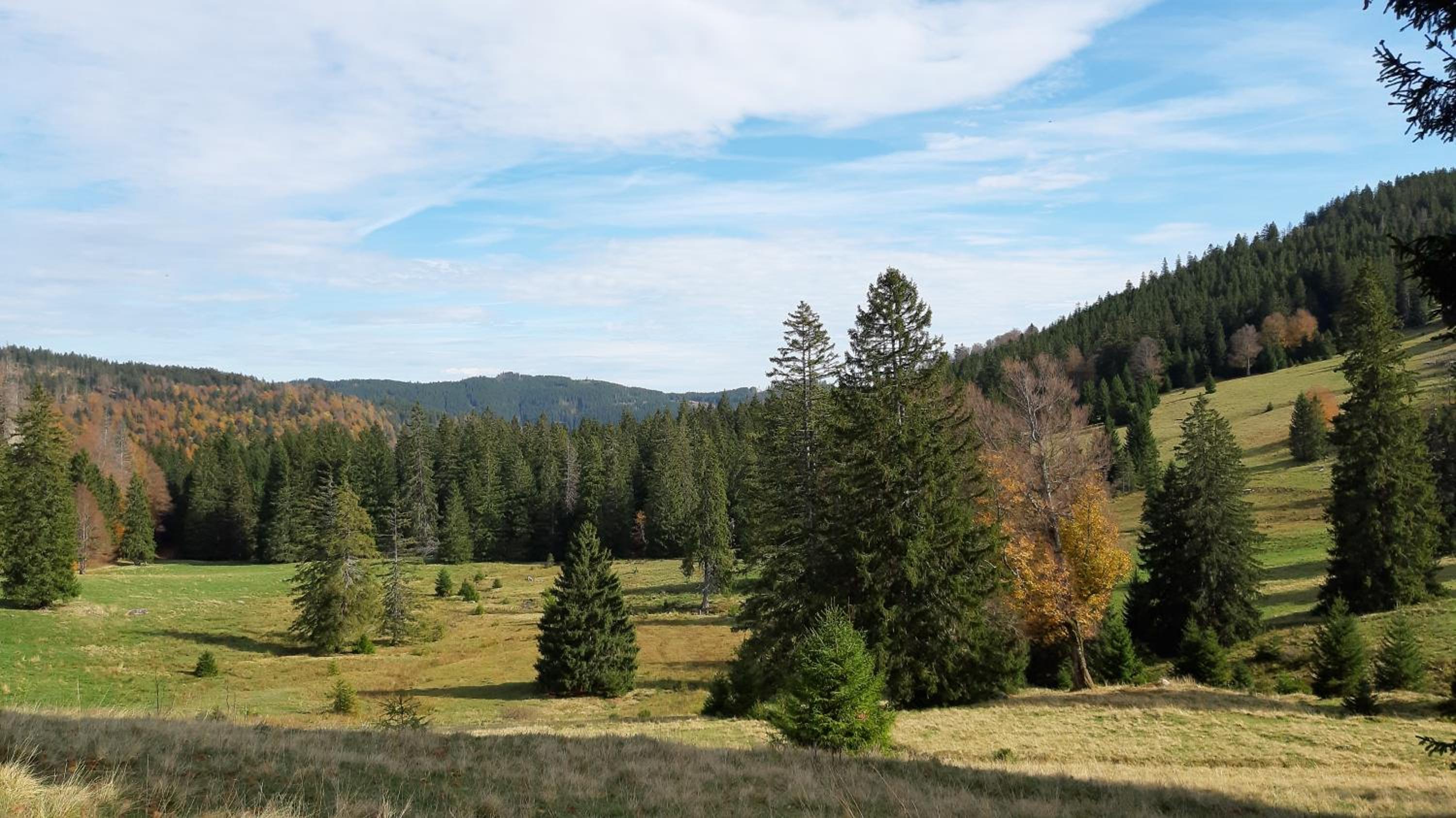 Daheim im Geissetal