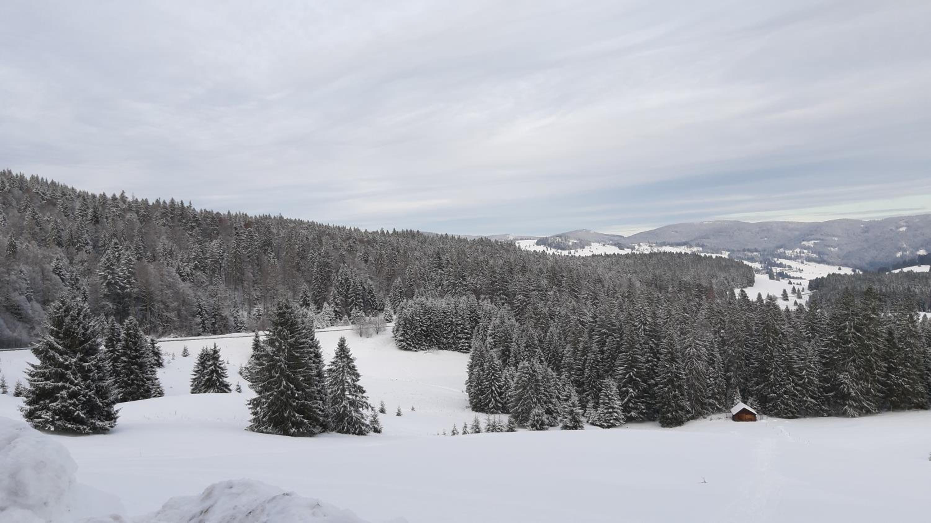 Daheim im Geissetal