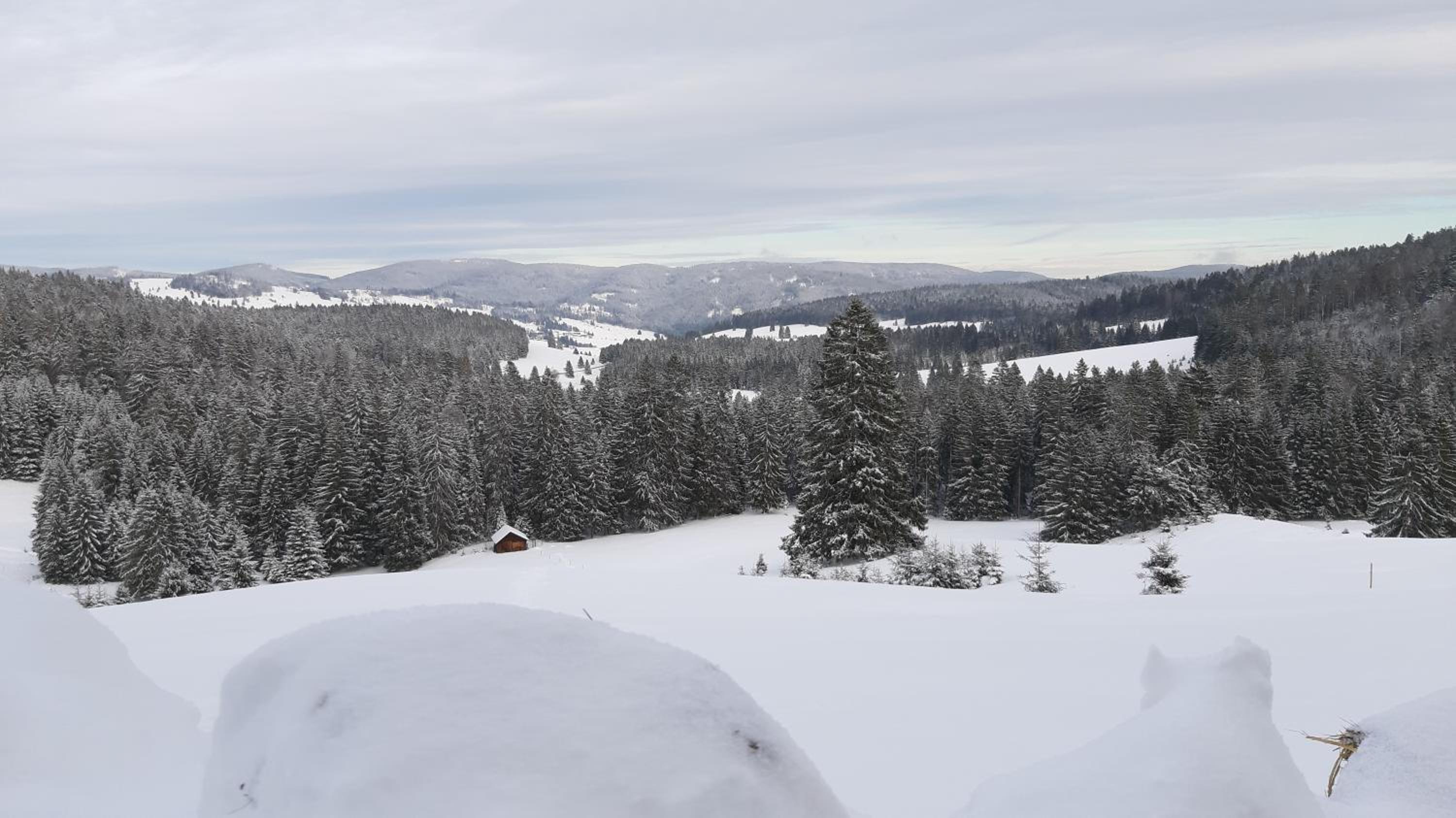 Daheim im Geissetal