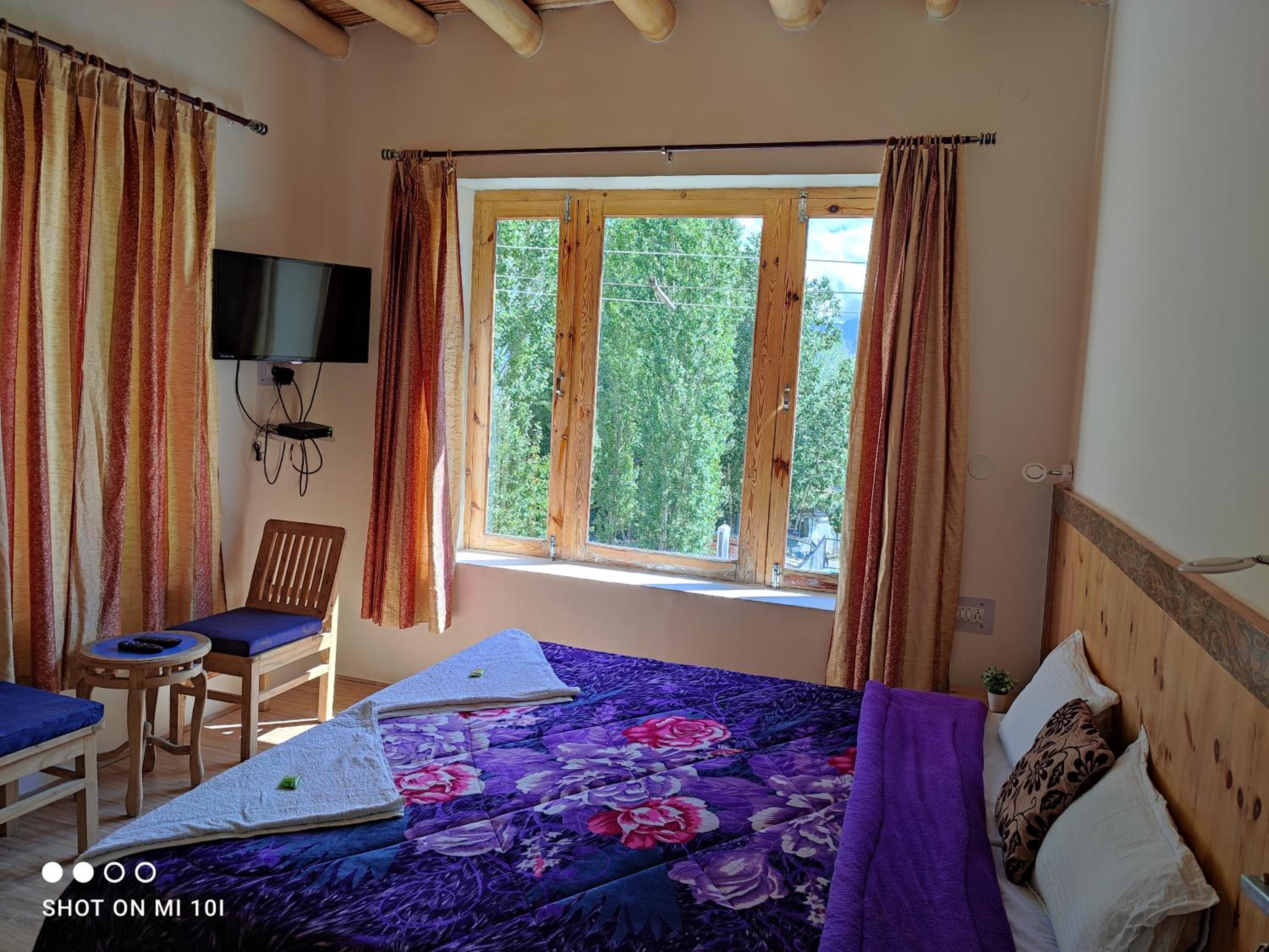 The Mir Villa Ladakh view 2