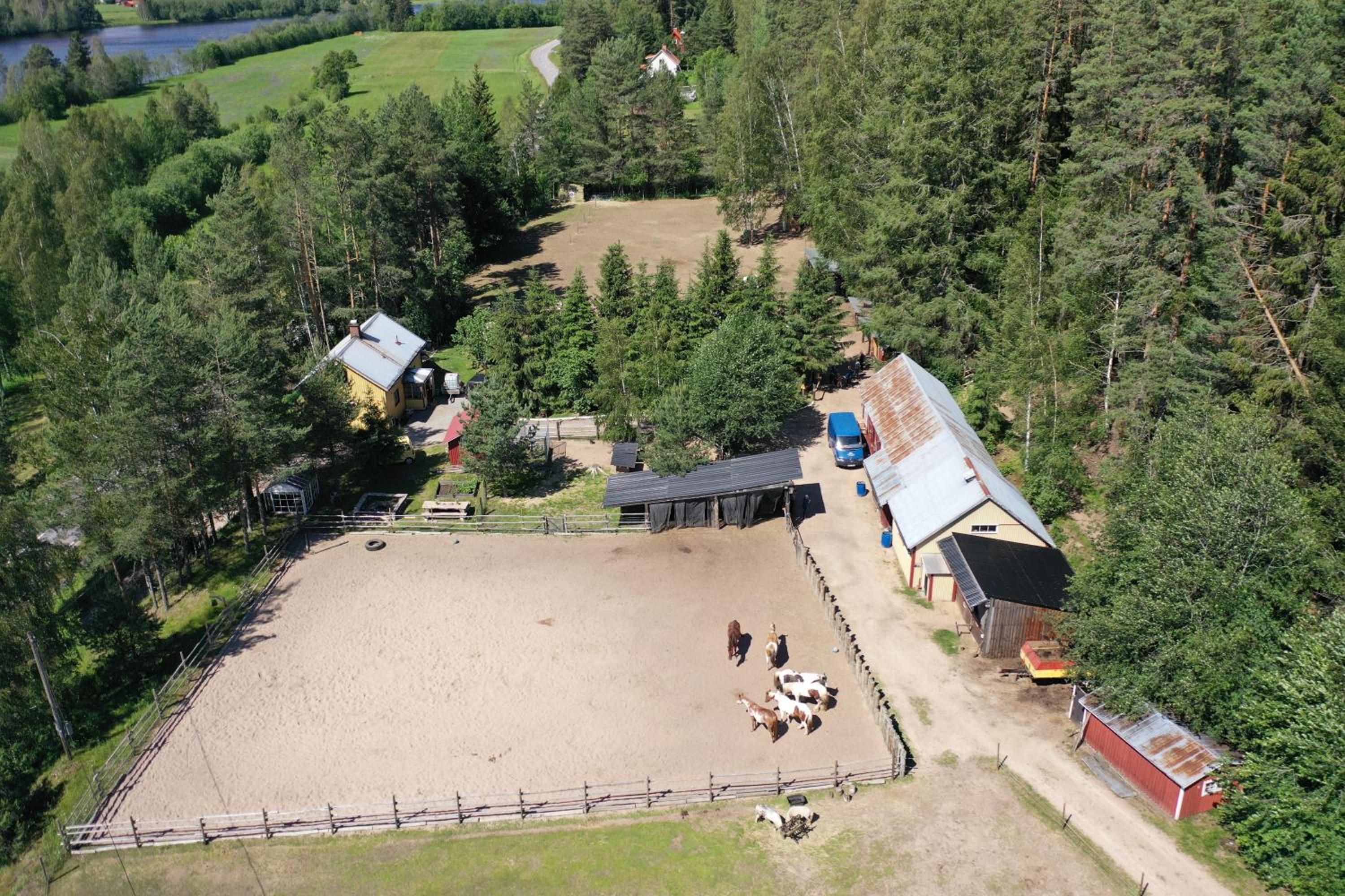 Farm house River&Horse view "Our Little Farm" view 3