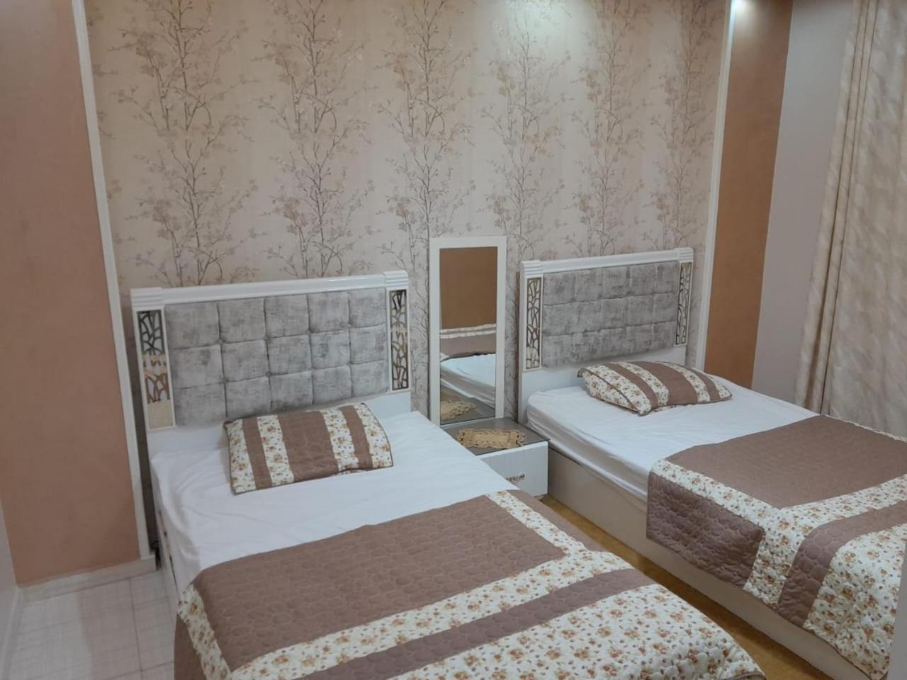 luxury apartment شقه فخمه بالاسكندرية view 4