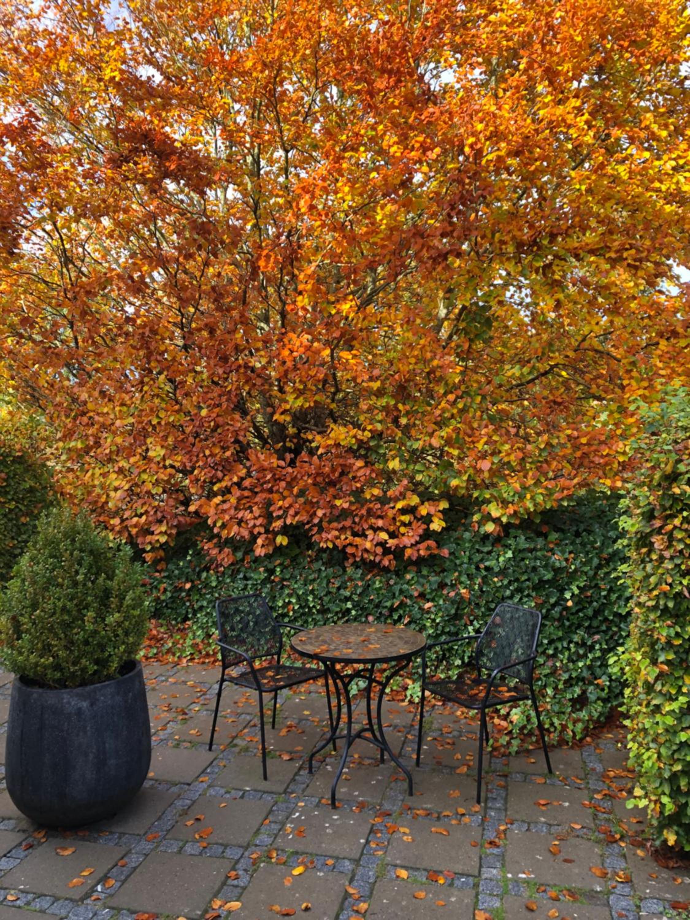 Helts B&B - Helts Guesthouse