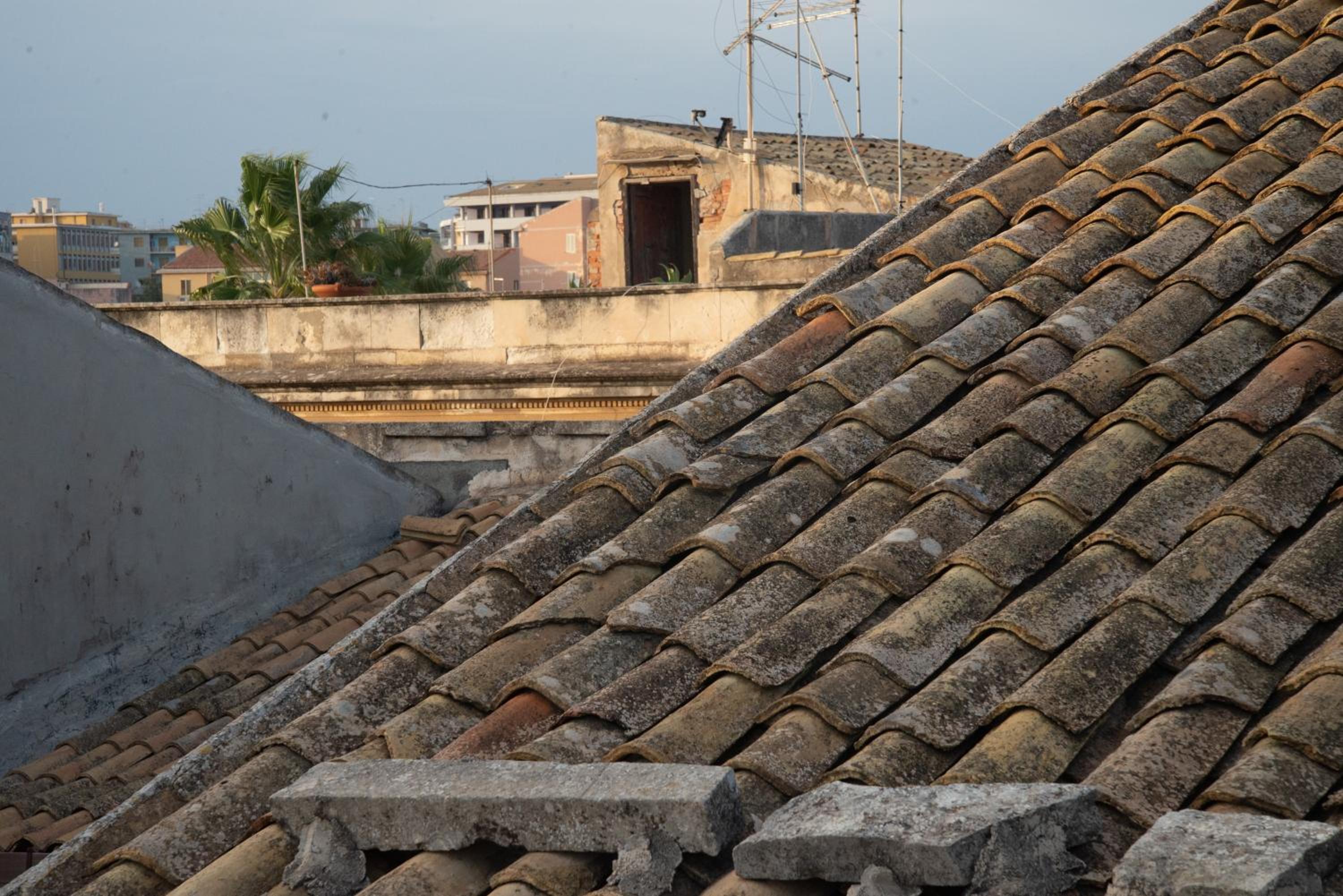 roof