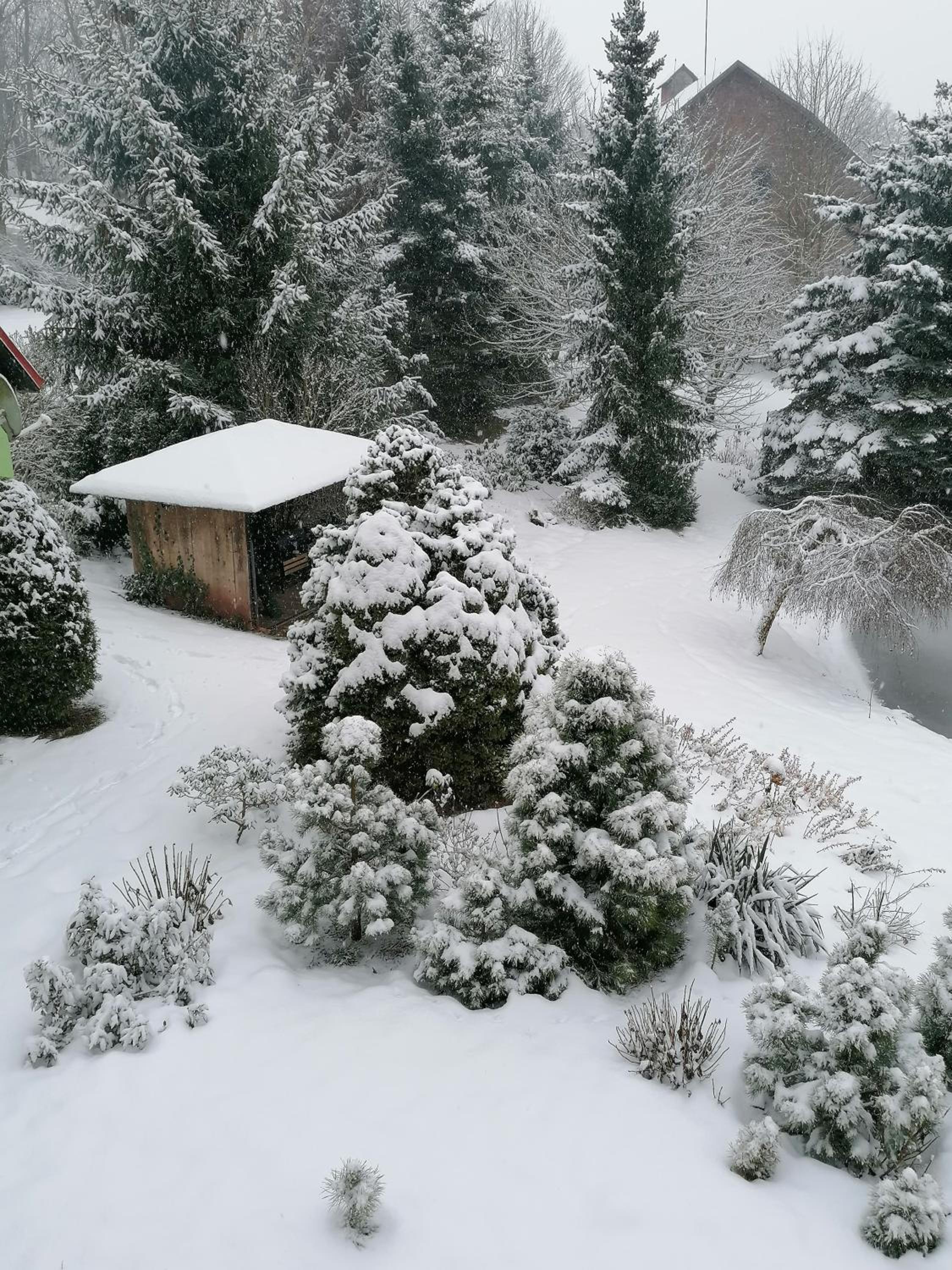 Apartmány Dana