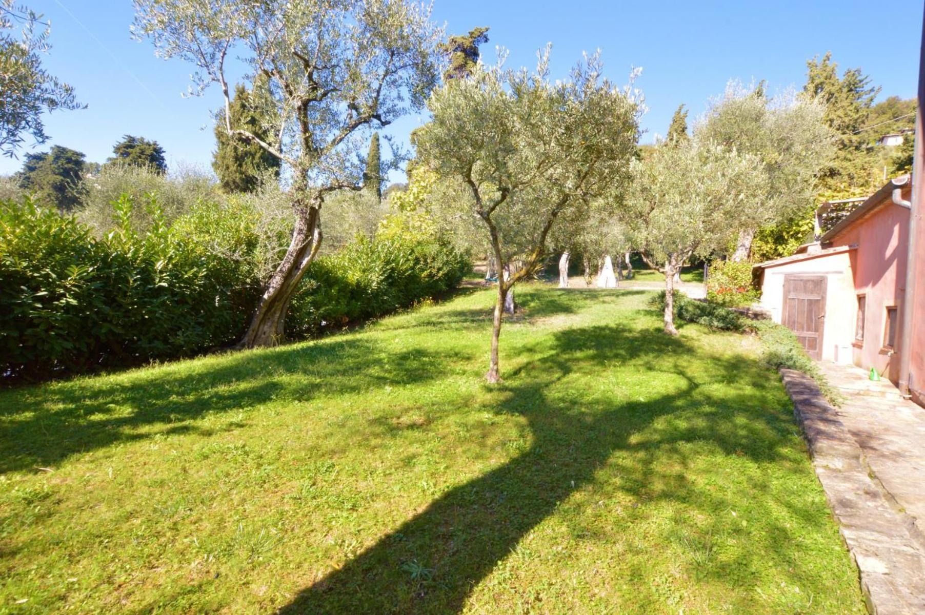 Photo 43
