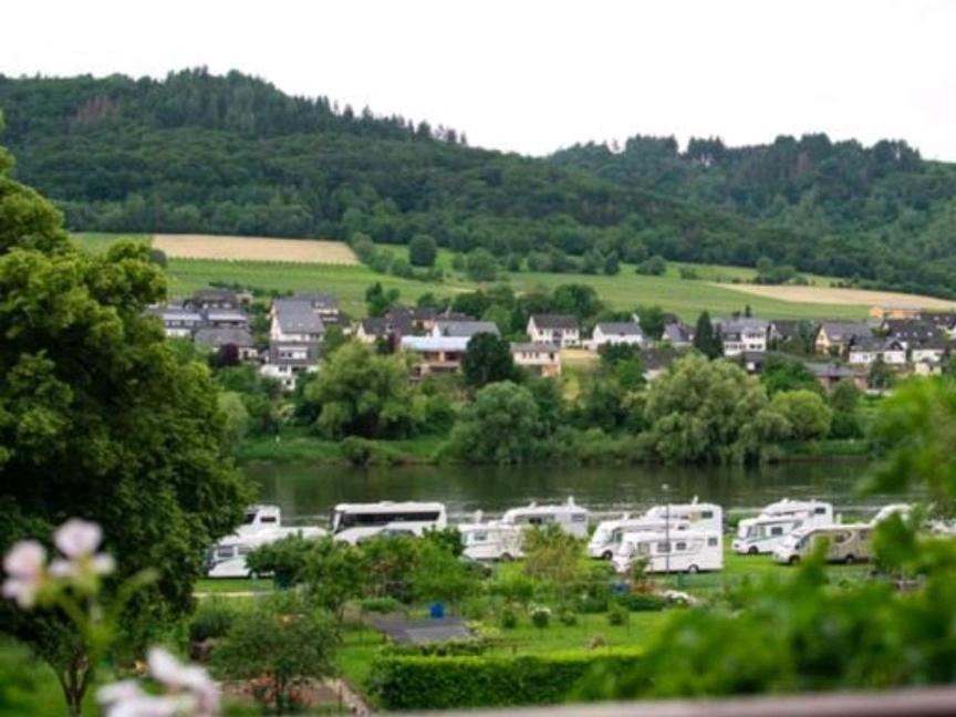Chateau-de-la-Moselle