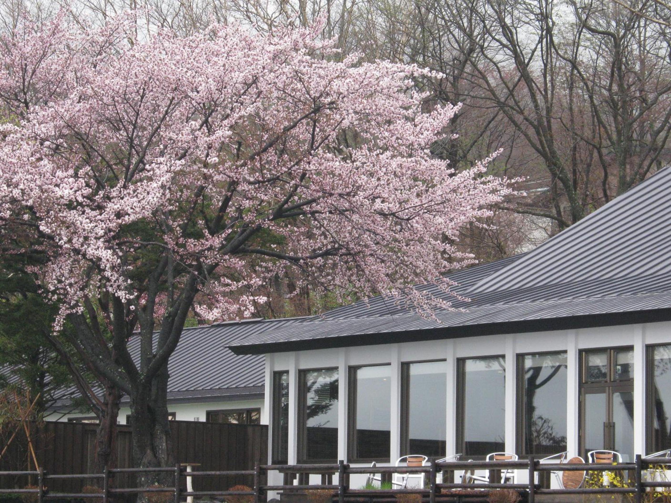 Hokkaido Lakeside Hotel Suimeikaku Private hot spring inn-Adult Only