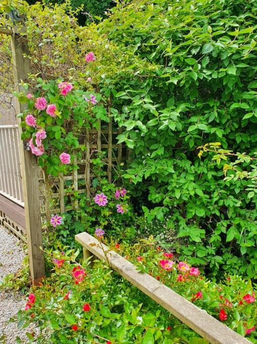 Bijou Coastal Apartment in Polperro With Hot Tub, Onsite Parking 5 min Downhill Walk To Village view 3
