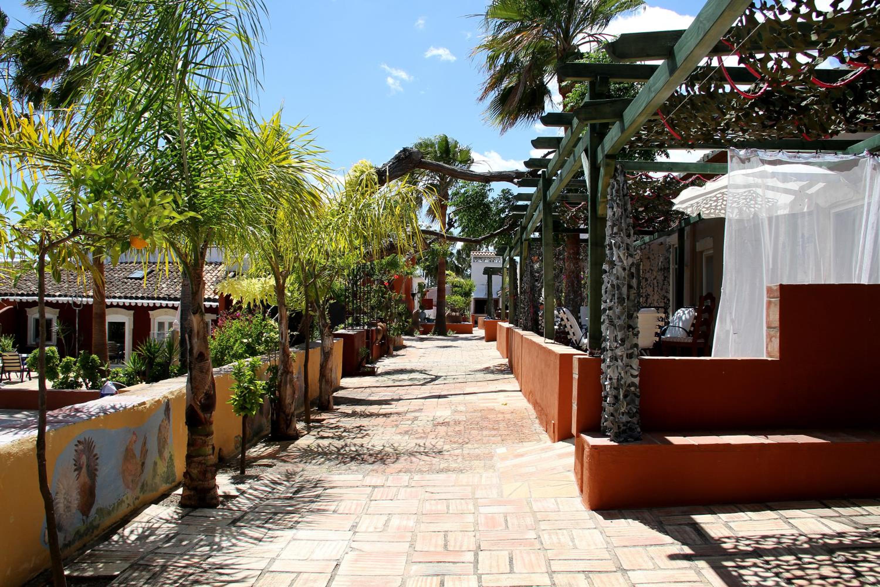 Almancil Vacations - Quinta dos Amigos - Property Image 13