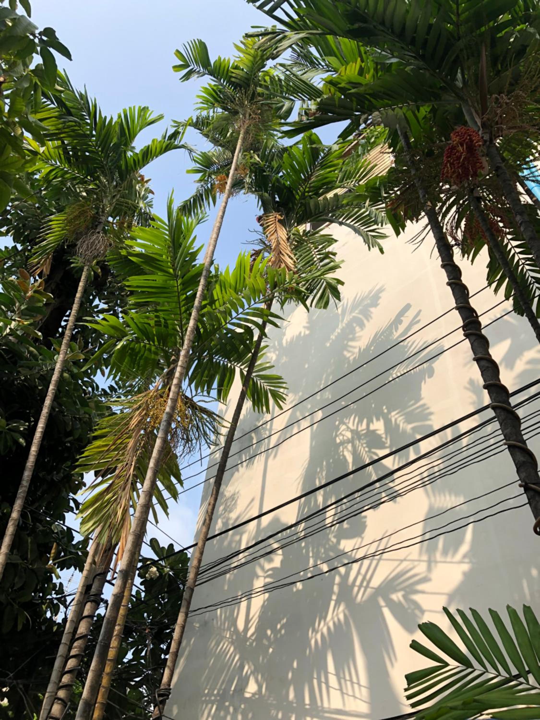 Sri Ayuttaya Guesthouse