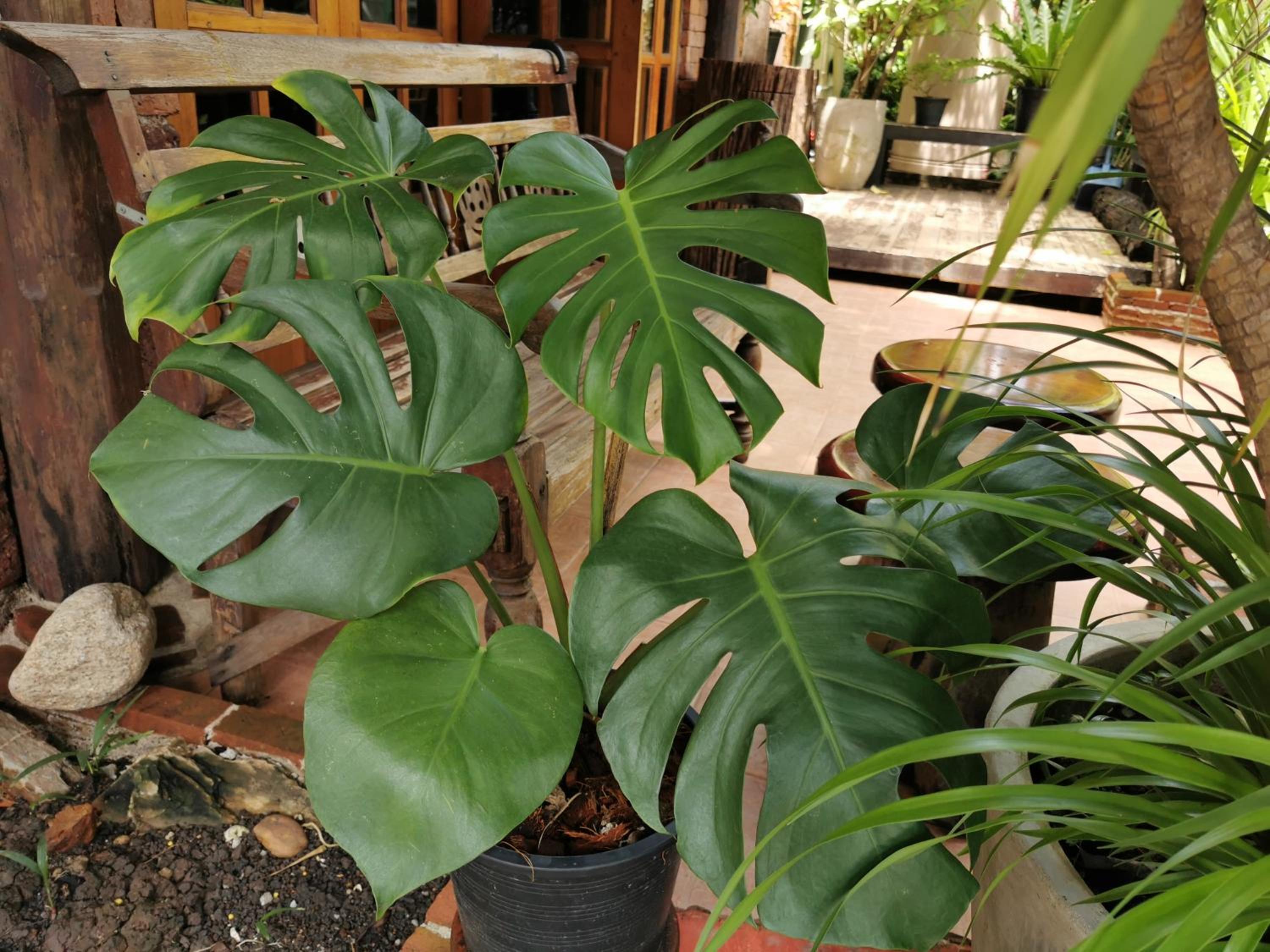 Sri Ayuttaya Guesthouse