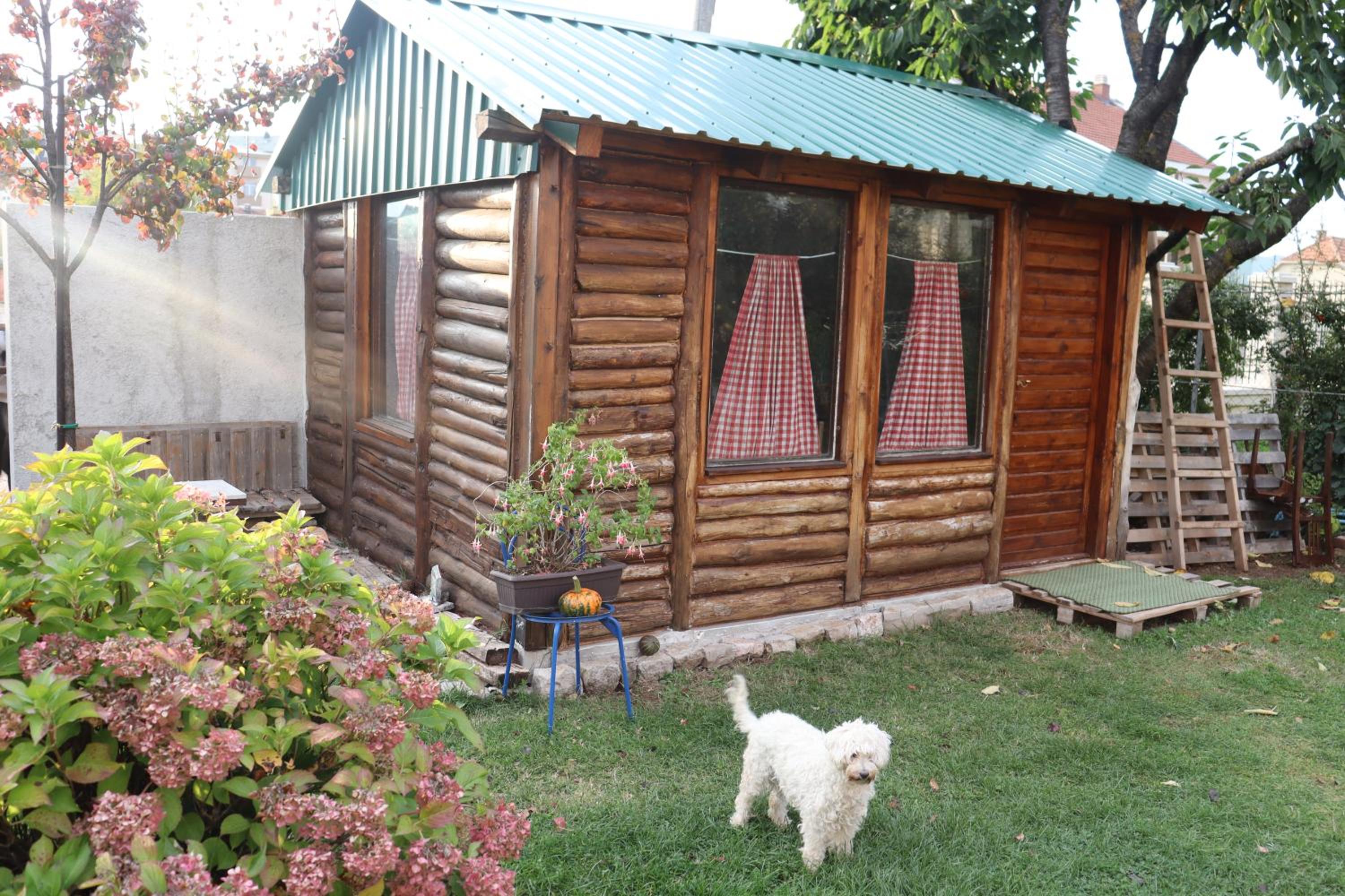 Photo 46