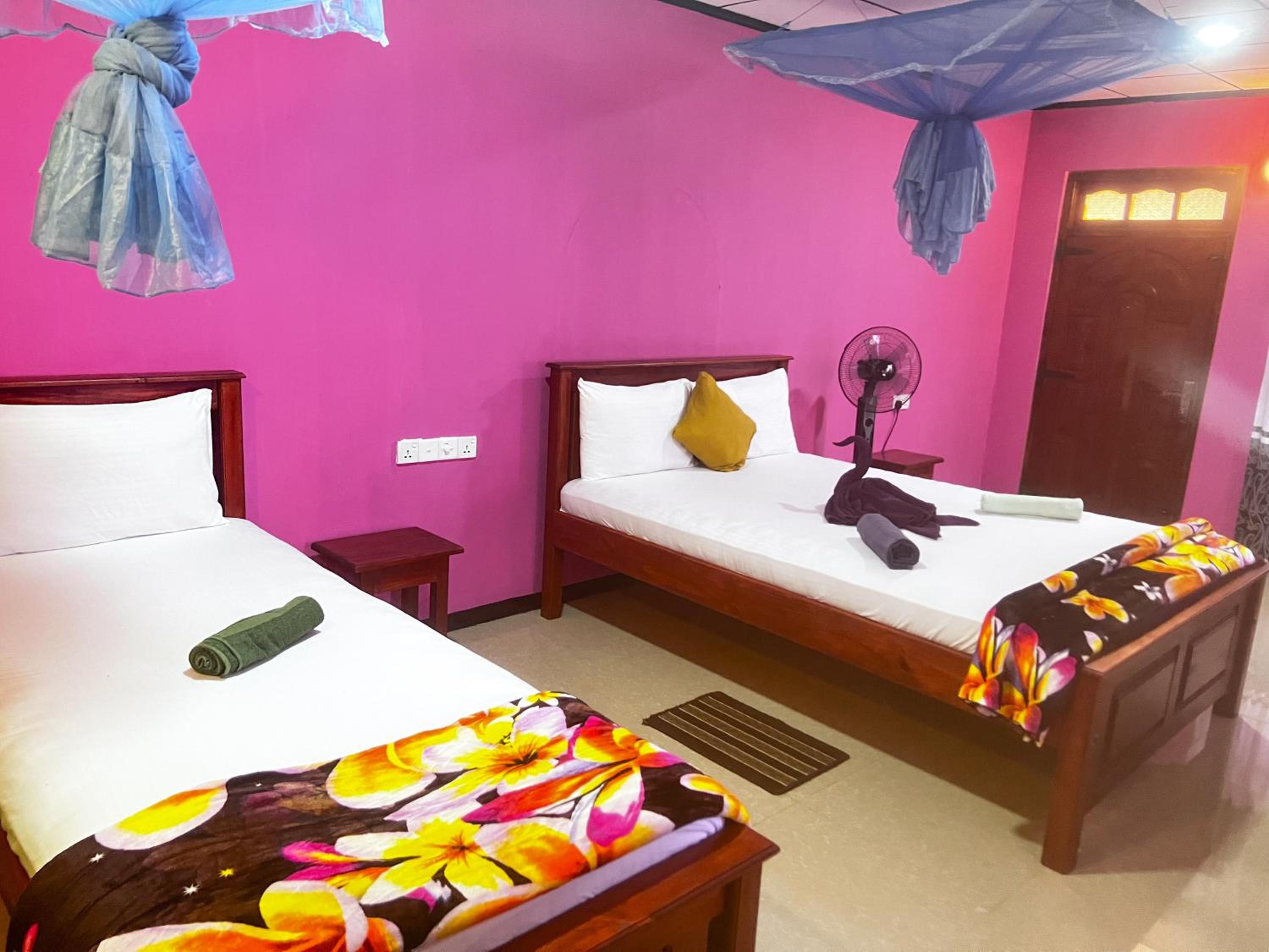 Nine Arch Homestay view 5