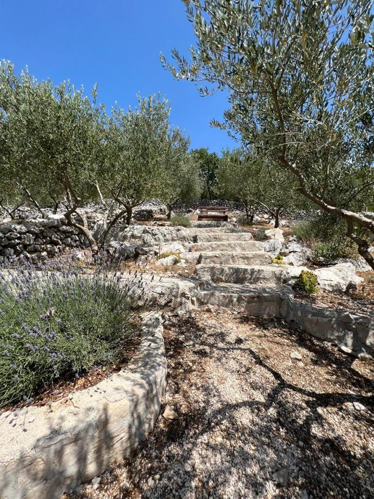 Photo 47