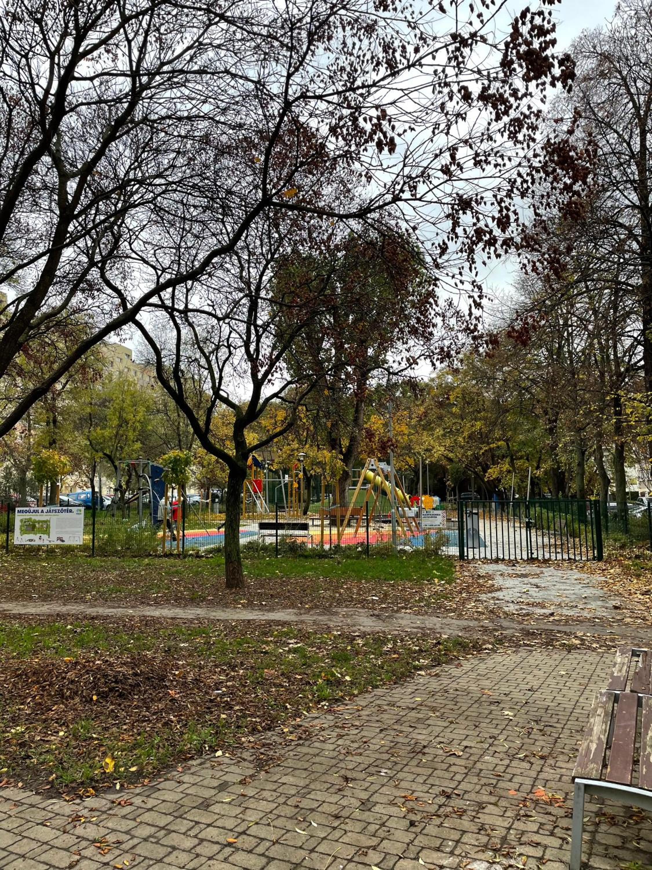 Photo 20