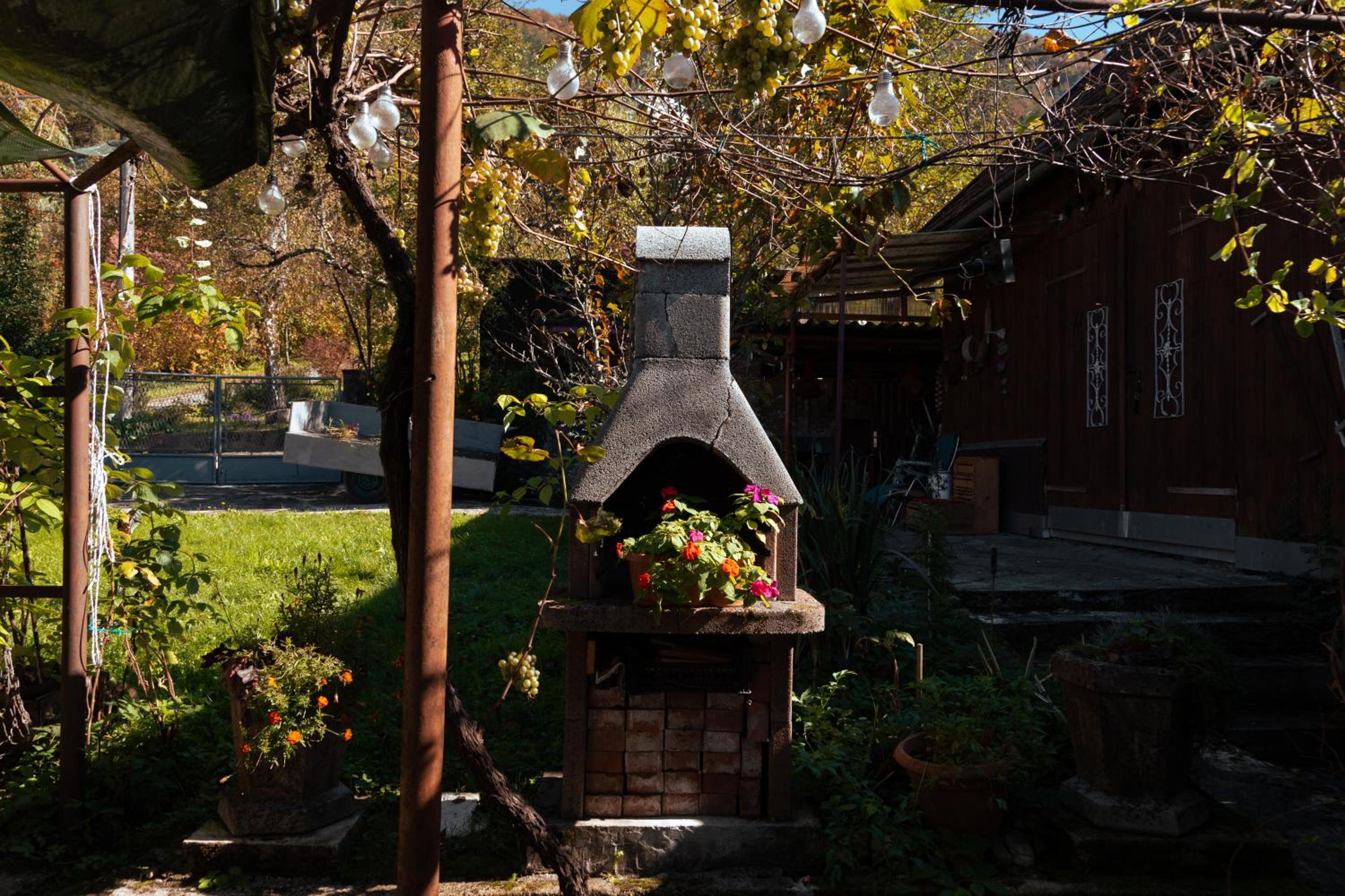 Photo 7