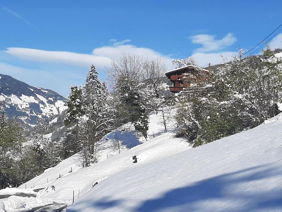 Alpine cottage with exceptional view