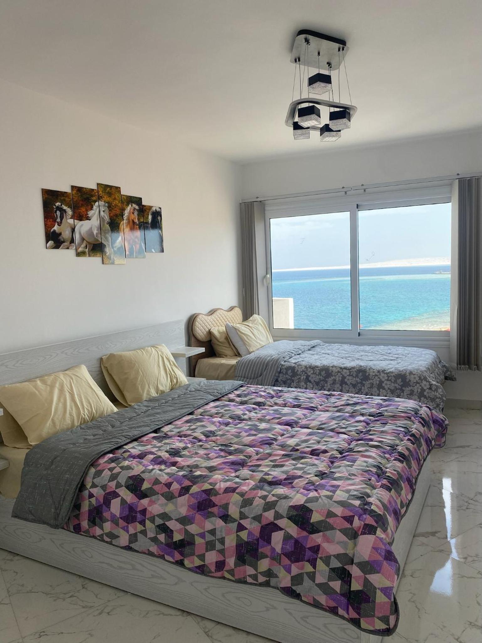 Blue Whale Hurghada Beach Front Apartments City Centre