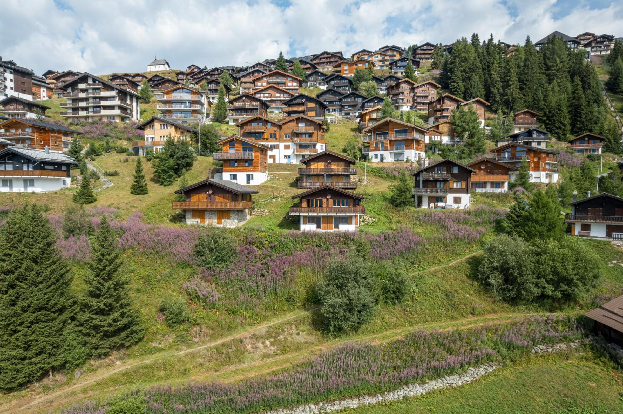 Alpengarten 4