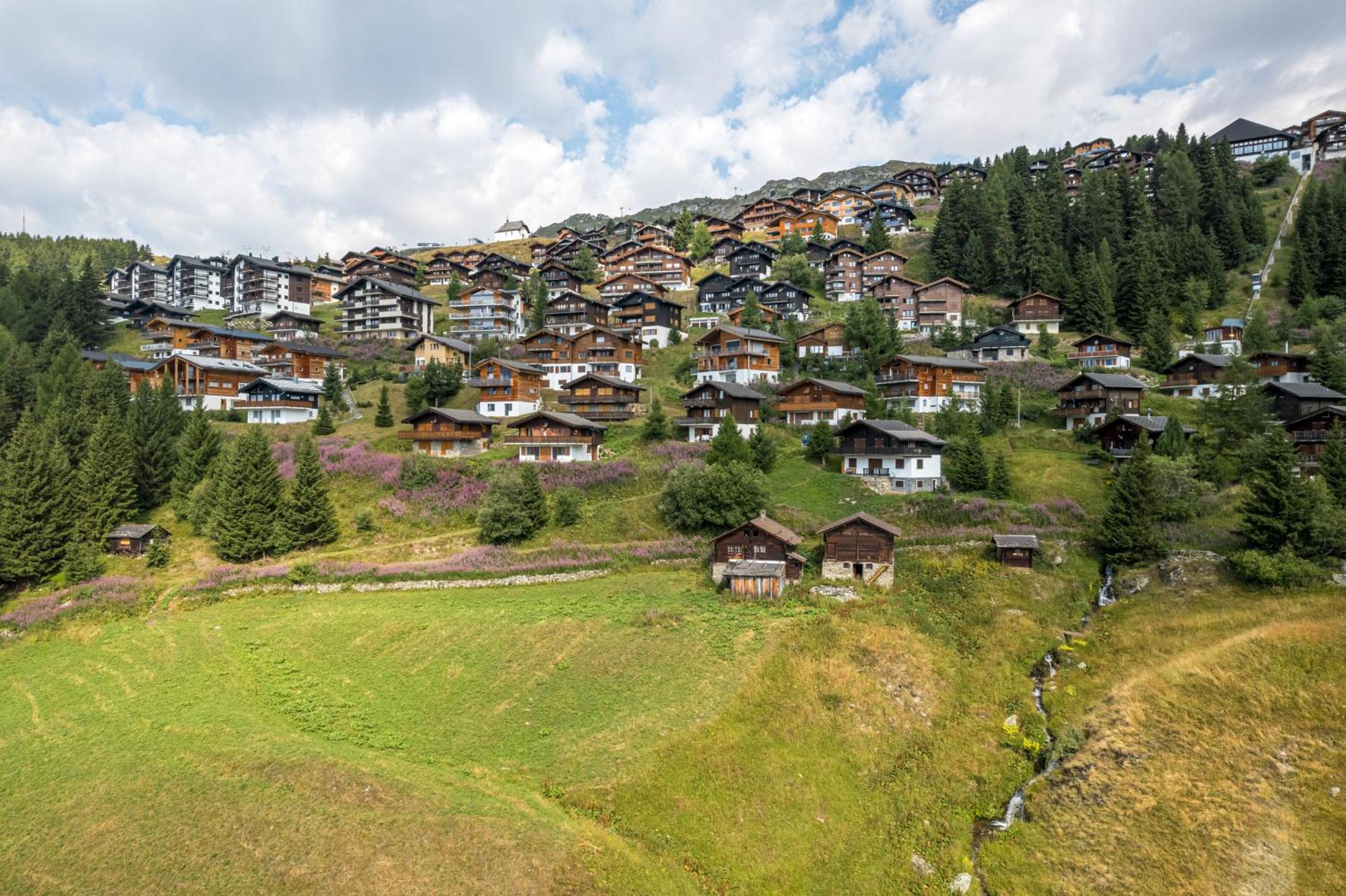Alpengarten 4