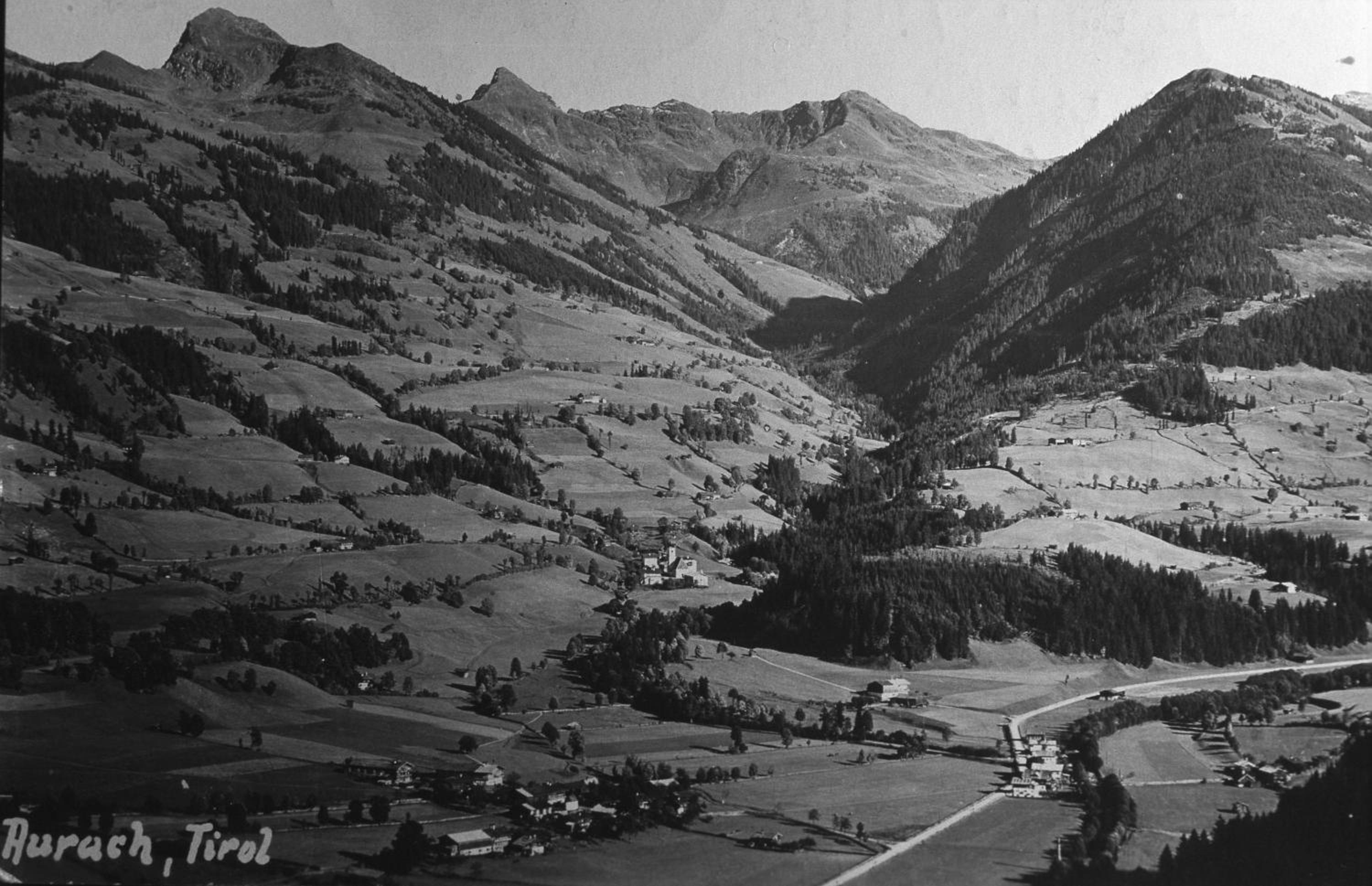 Hallerwirt Homes