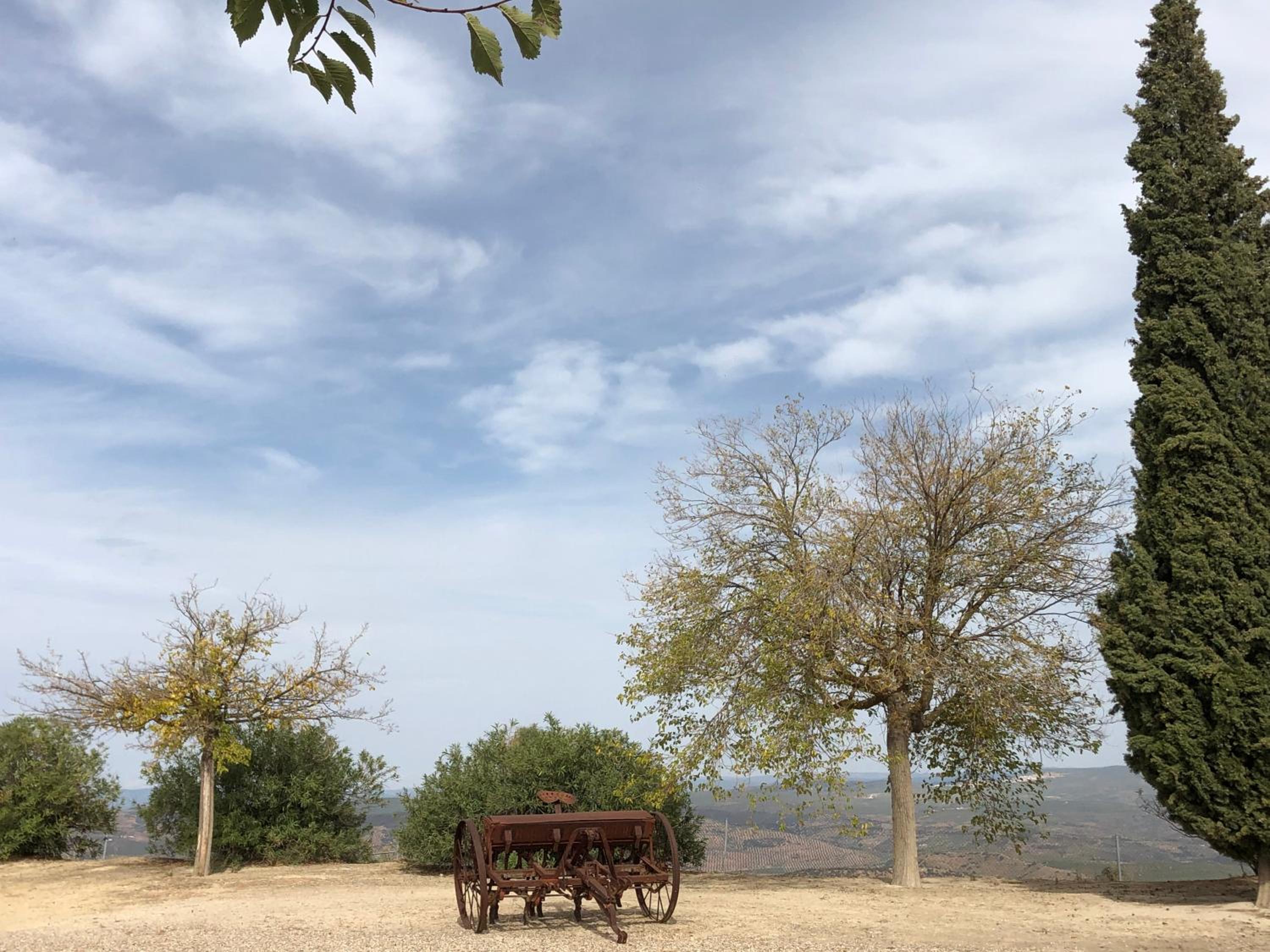 Finca San Andrés