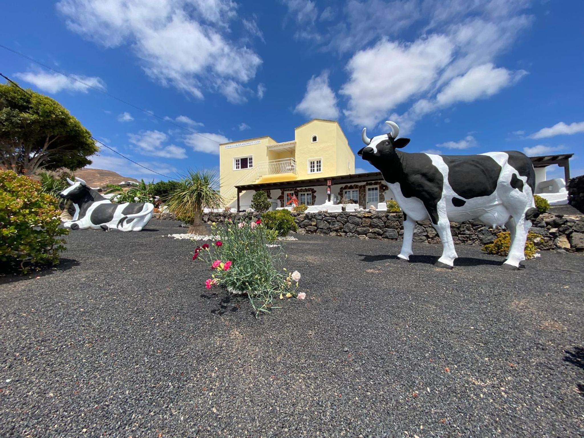 Club JM Lanzarote