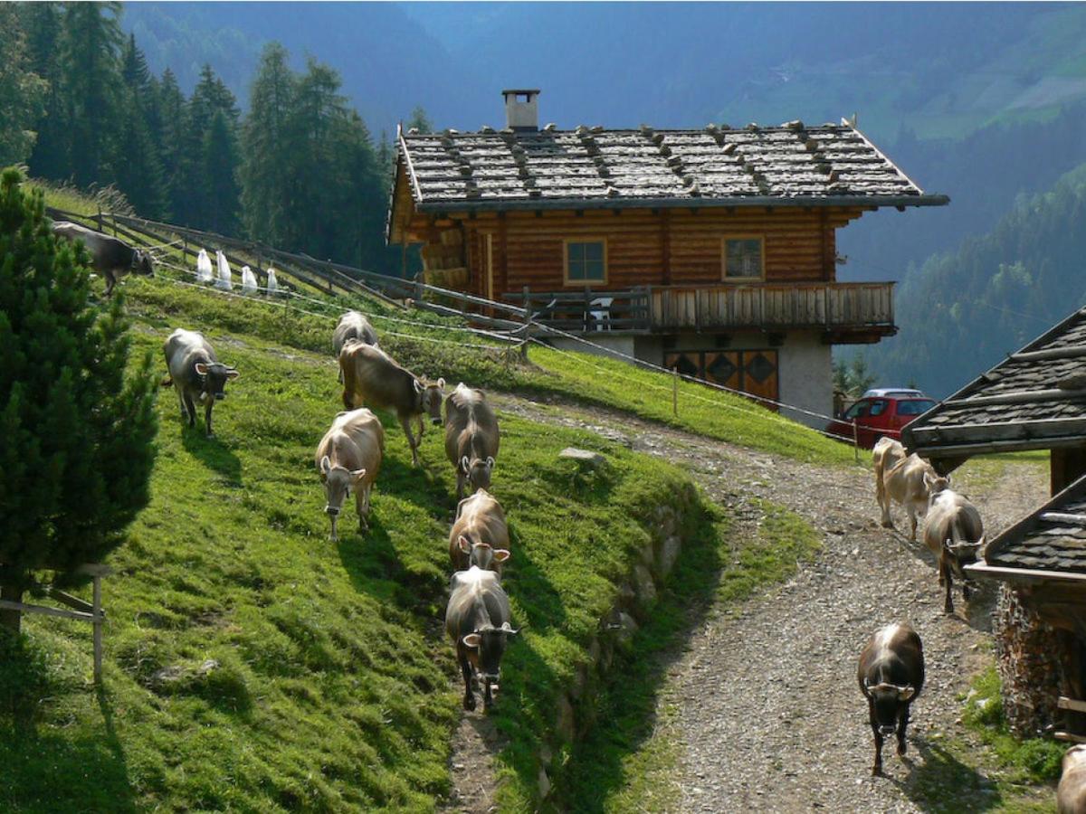 Ferienwohnung Maiernhof Bauernhof Ultental