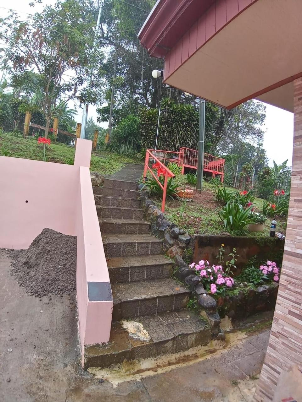 Casa entre la naturaleza view 2