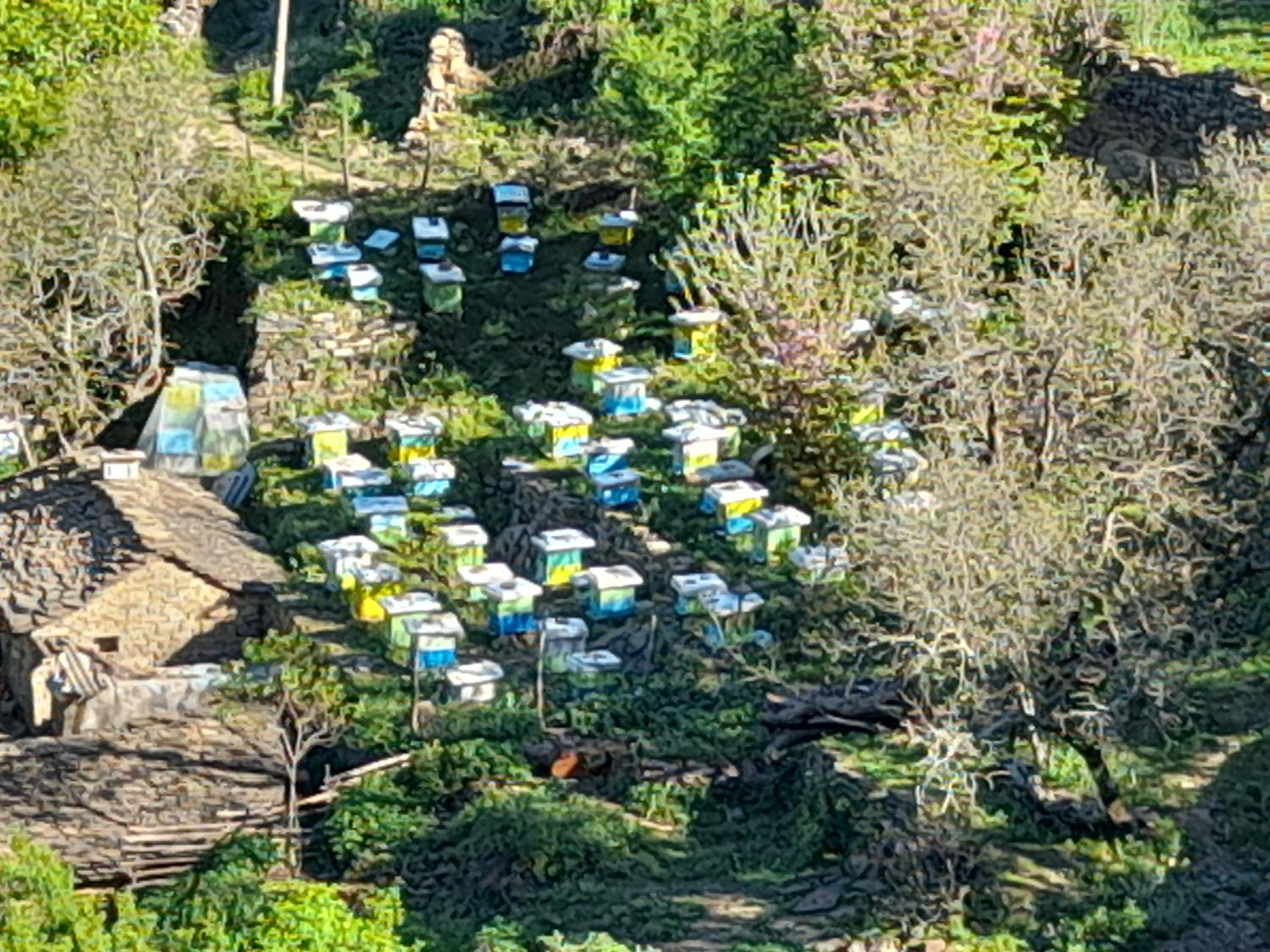 Honey-House Kastrioti Adventures