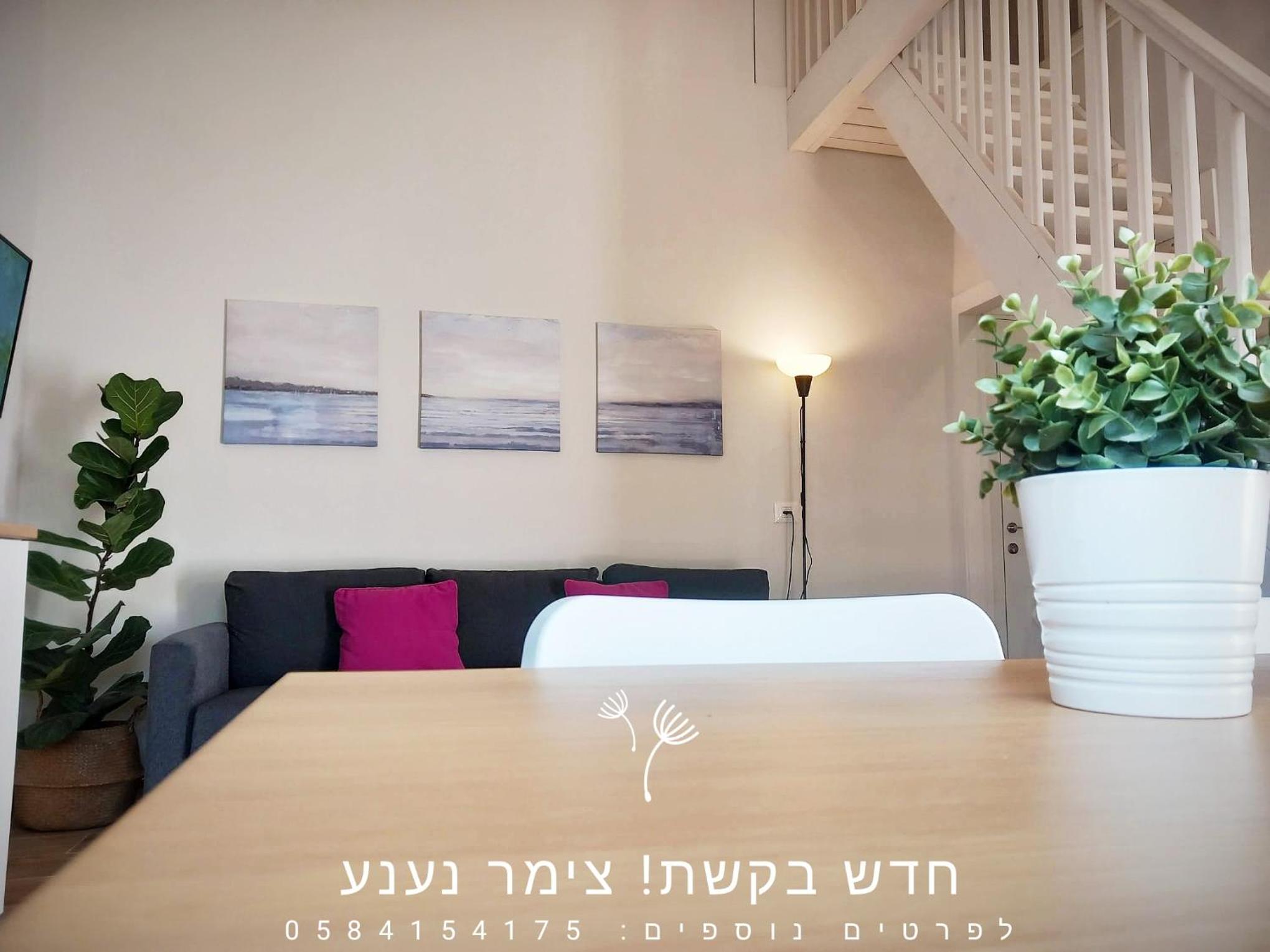 נענע view 5