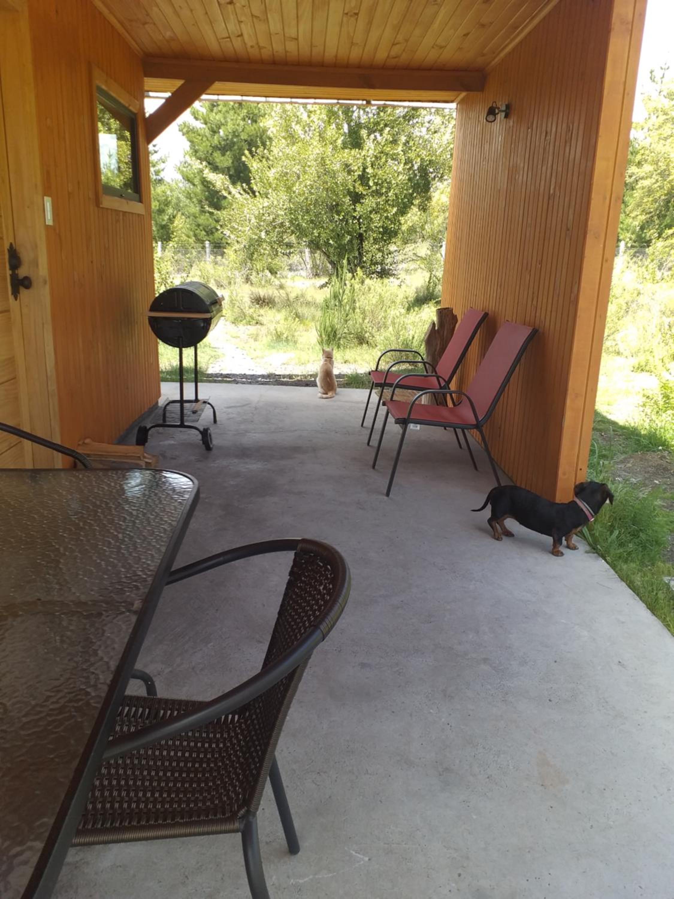 Photo 7