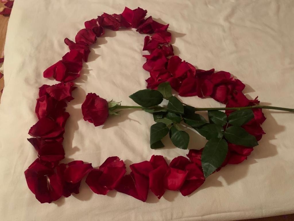 Photo 42