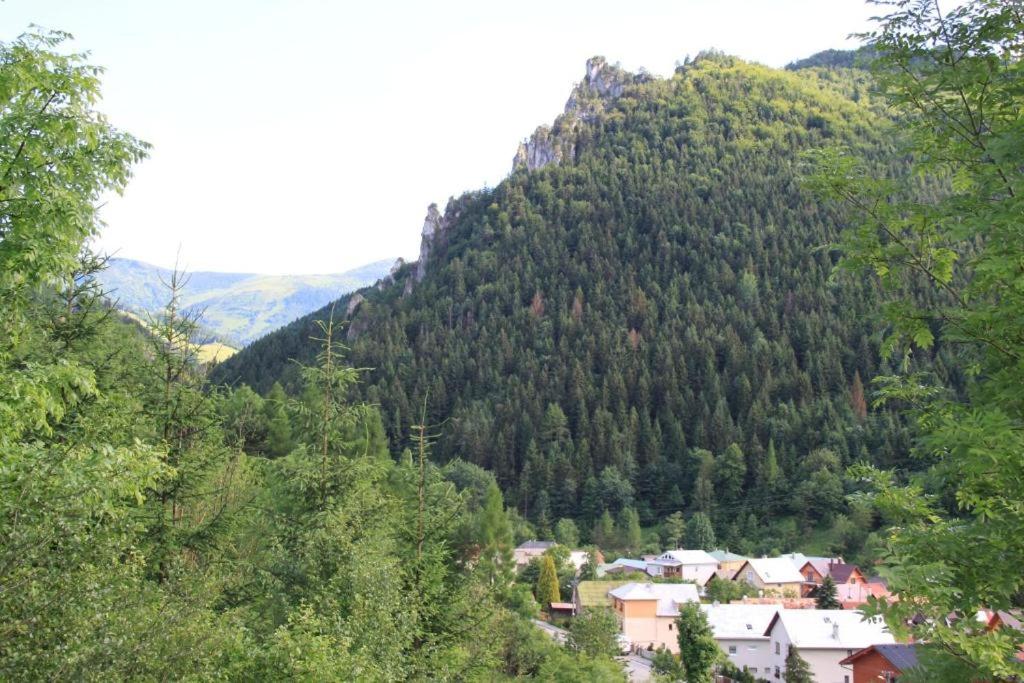Drevenica Desina