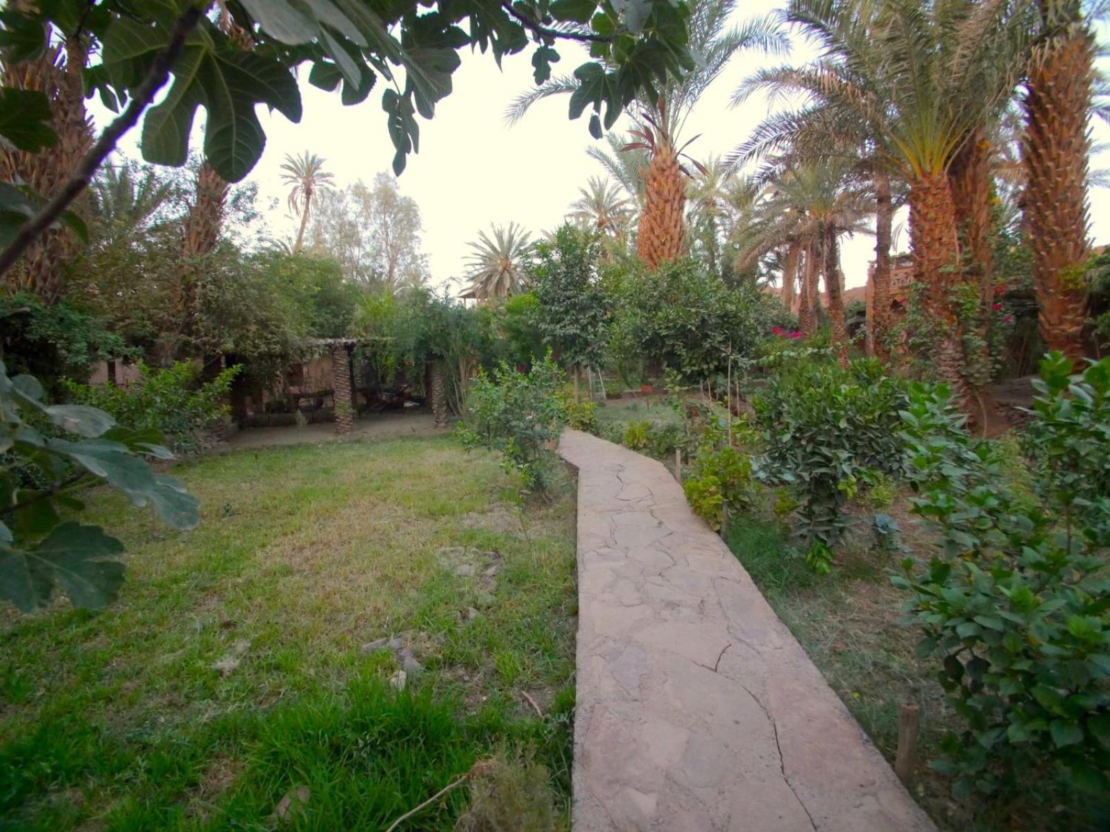 Photo 13