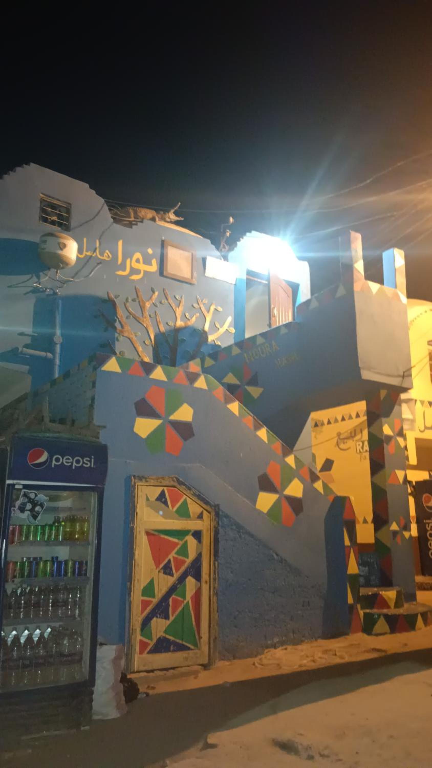 Noura hasel nubian house