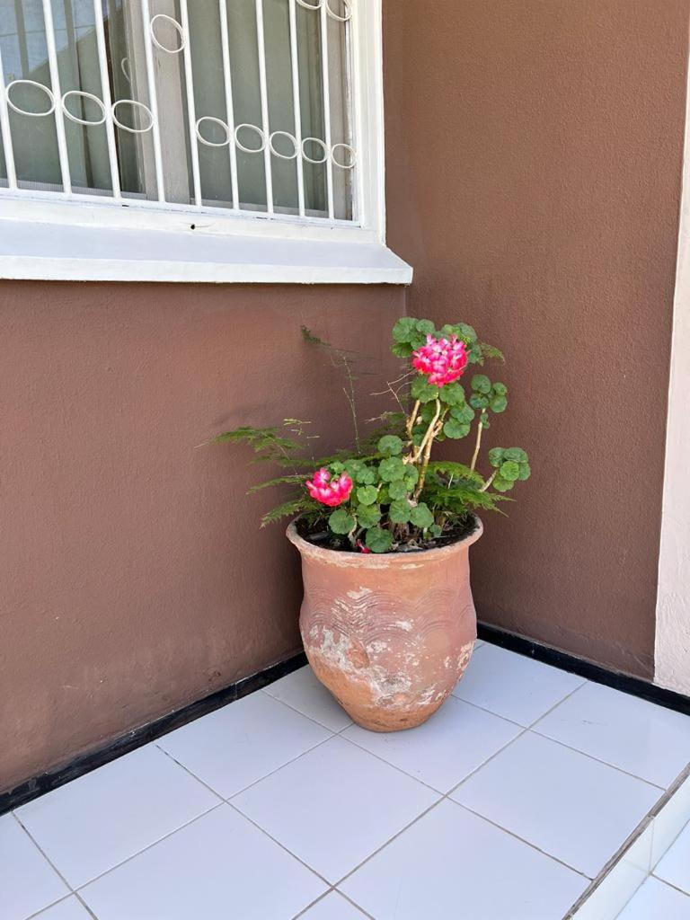 Brisa del Valle