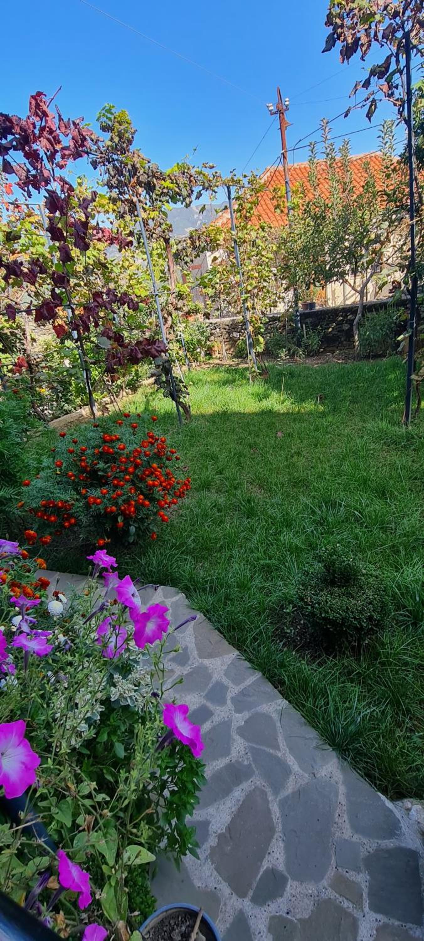 Garden Guest House