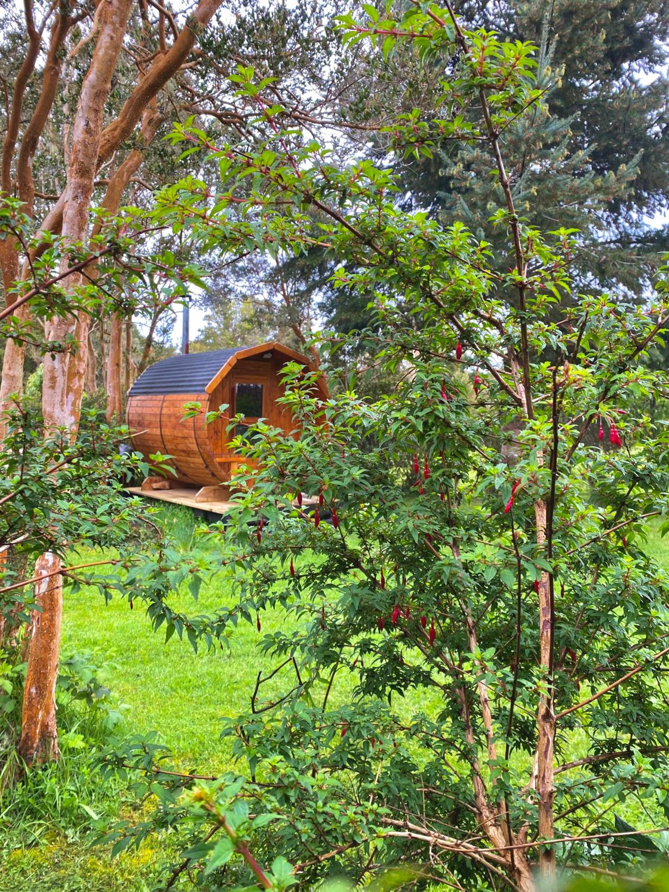 El Reflejo Lodge Spa - Queilen - Chiloé view 3