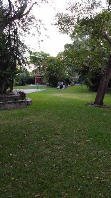 Photo 38