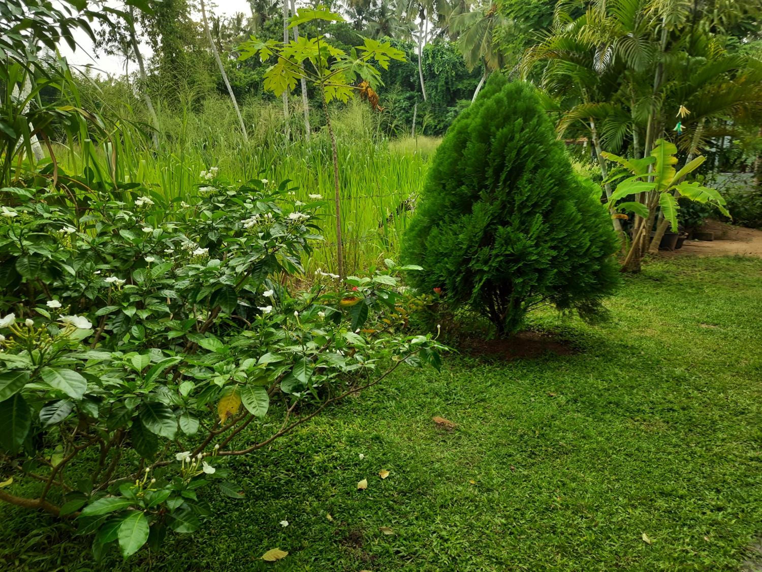 Photo 17