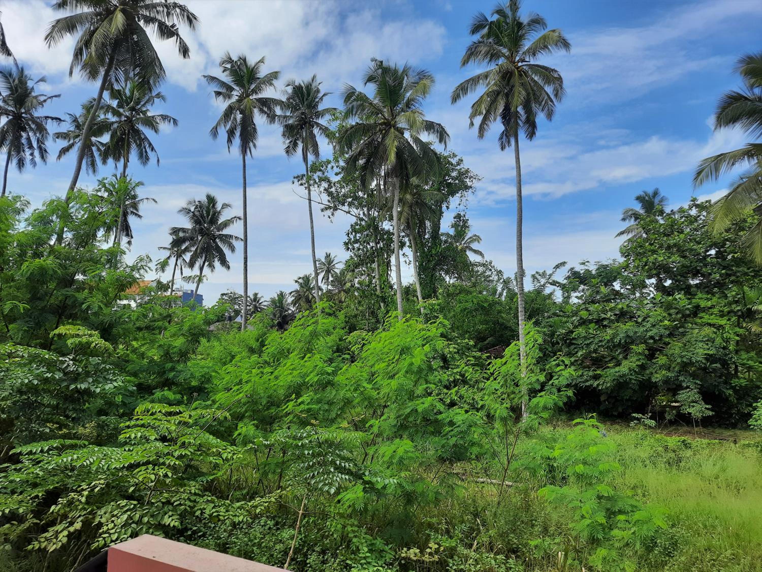 Hansa Villa view 2