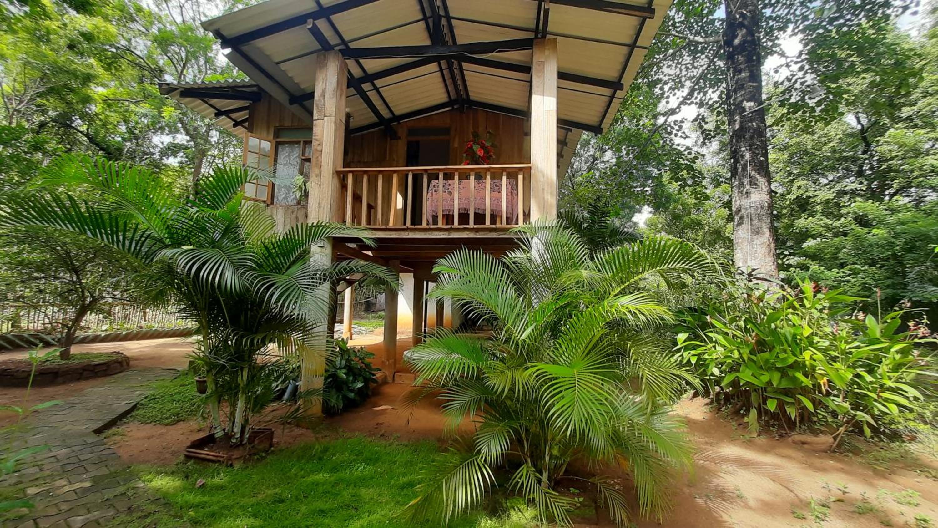 Ruk Sewana Villa Tree House view 3