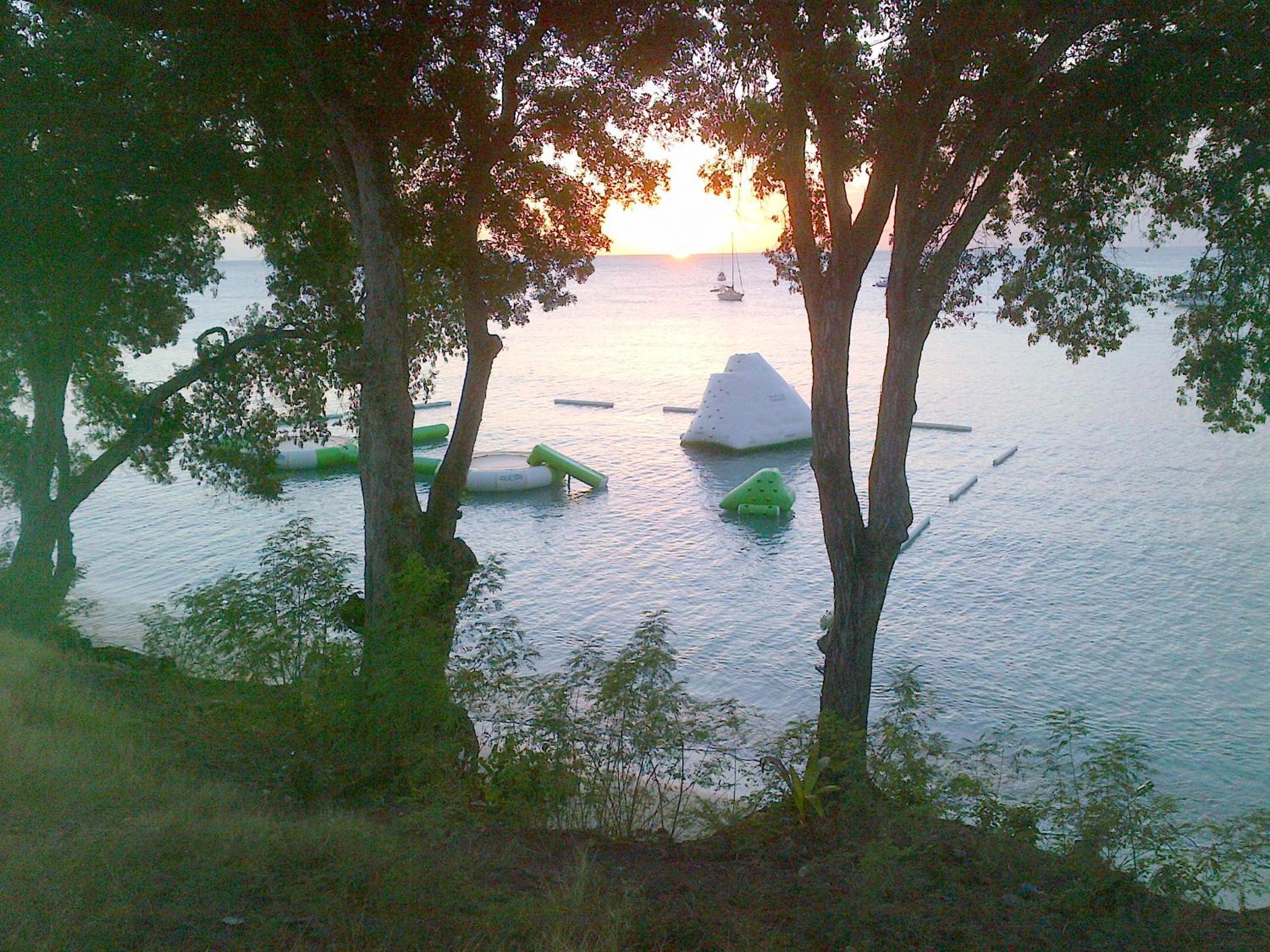 Color Garden - Studio Martinique view 5