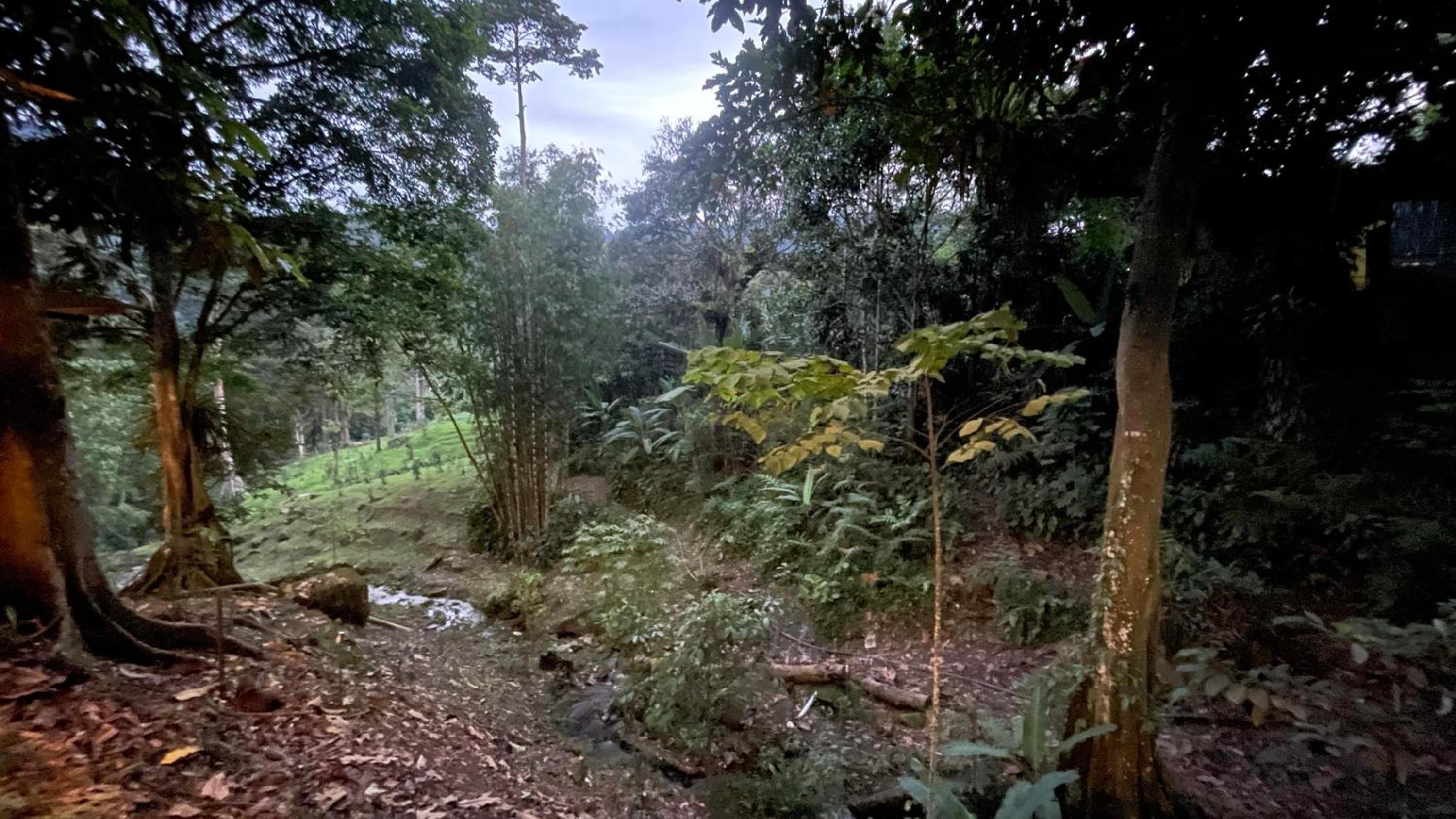 Photo 43