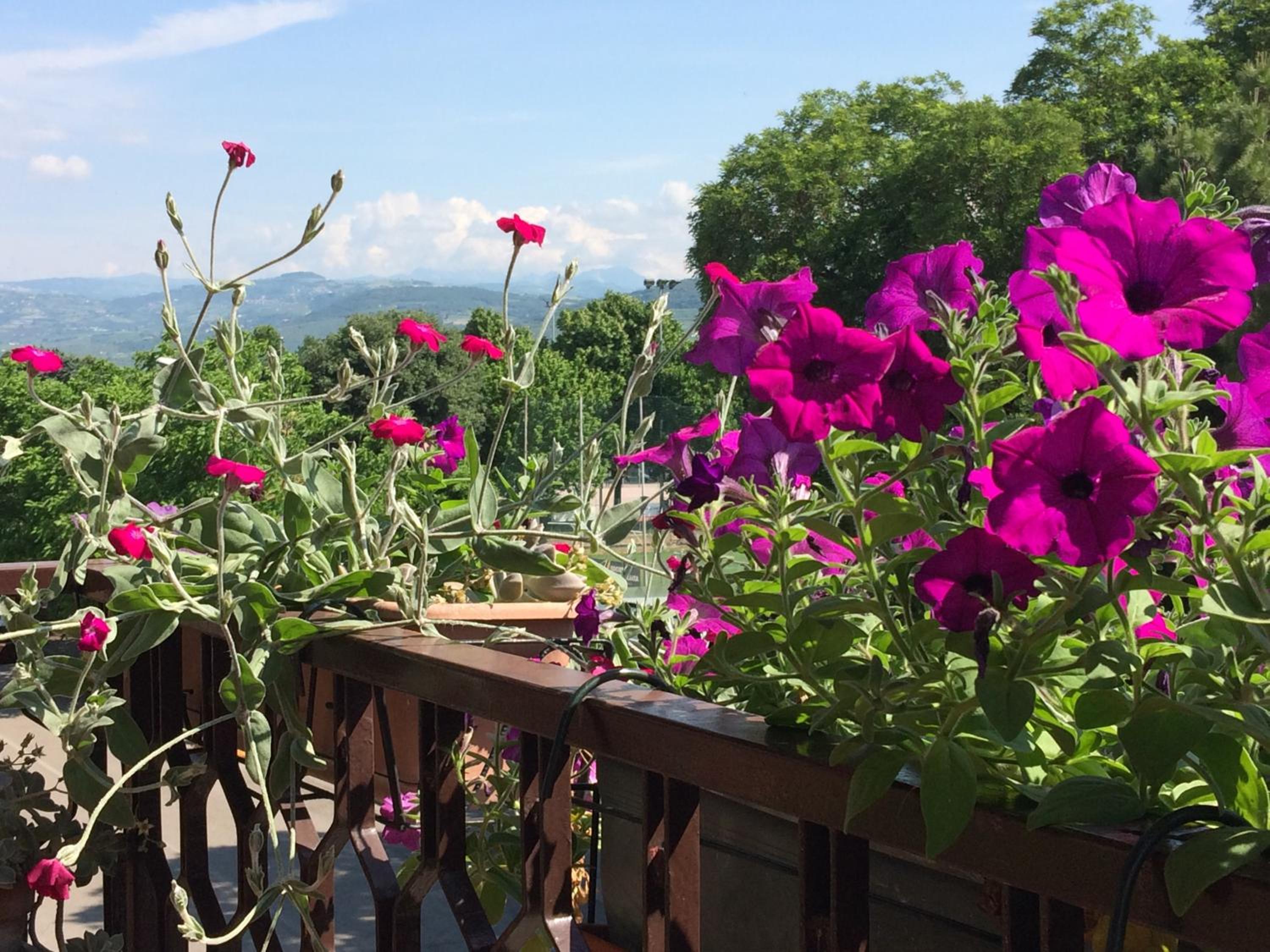 B&B Pergolesi