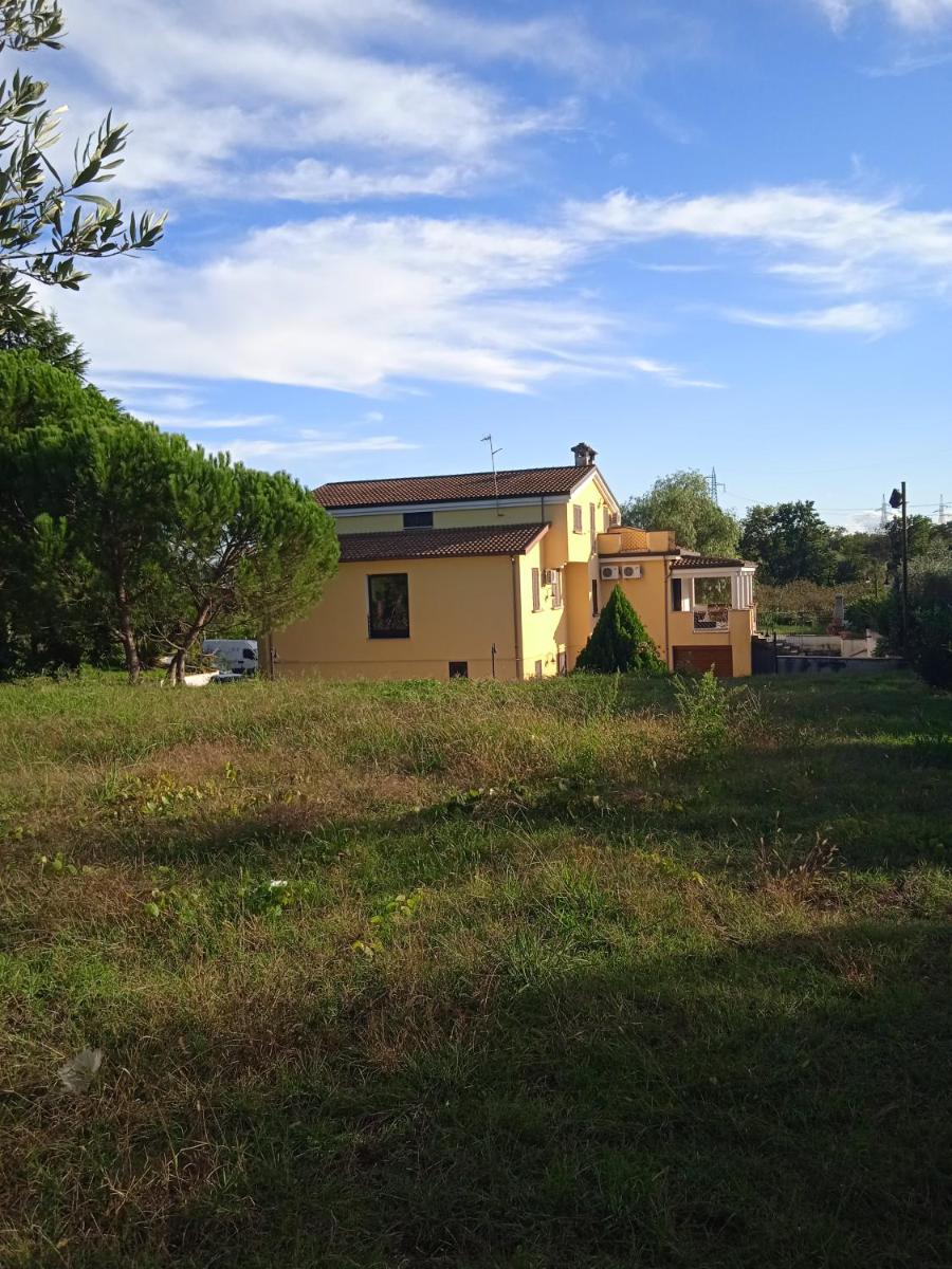 Photo 22