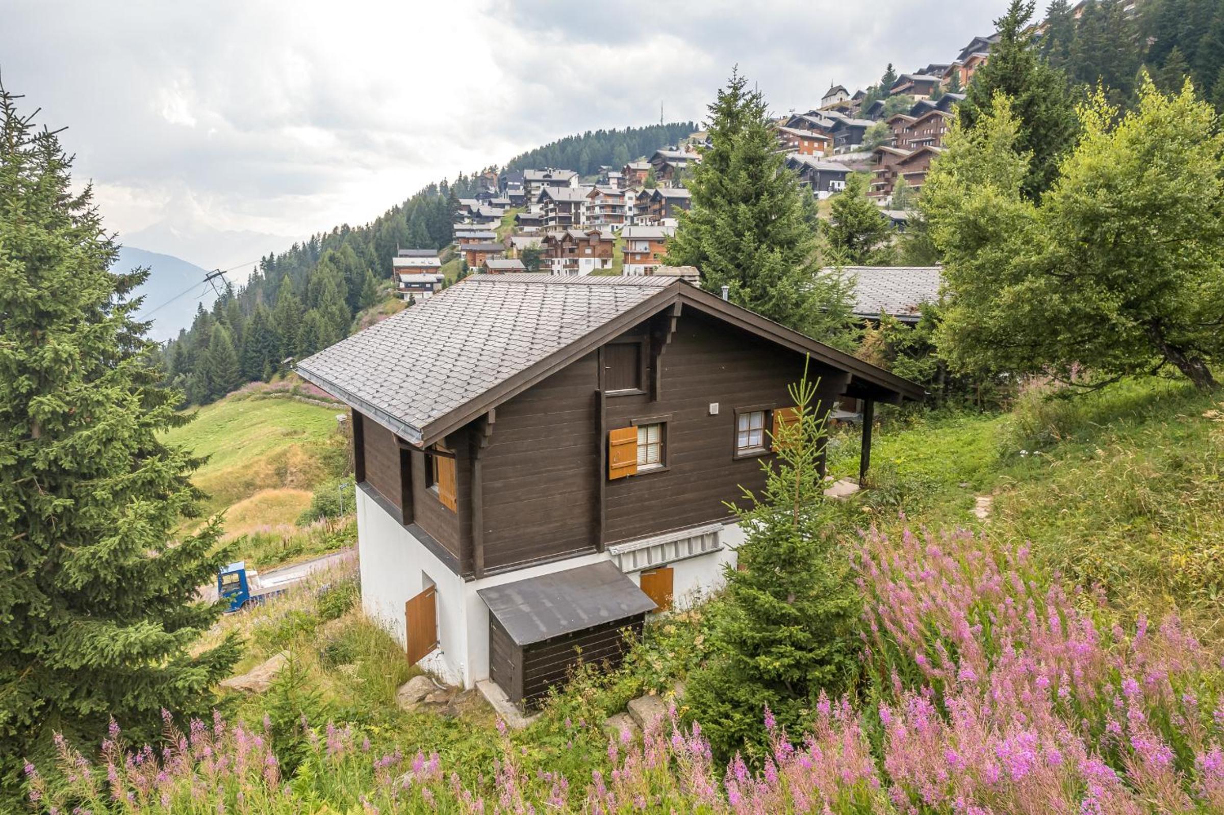 Brigerblick OG