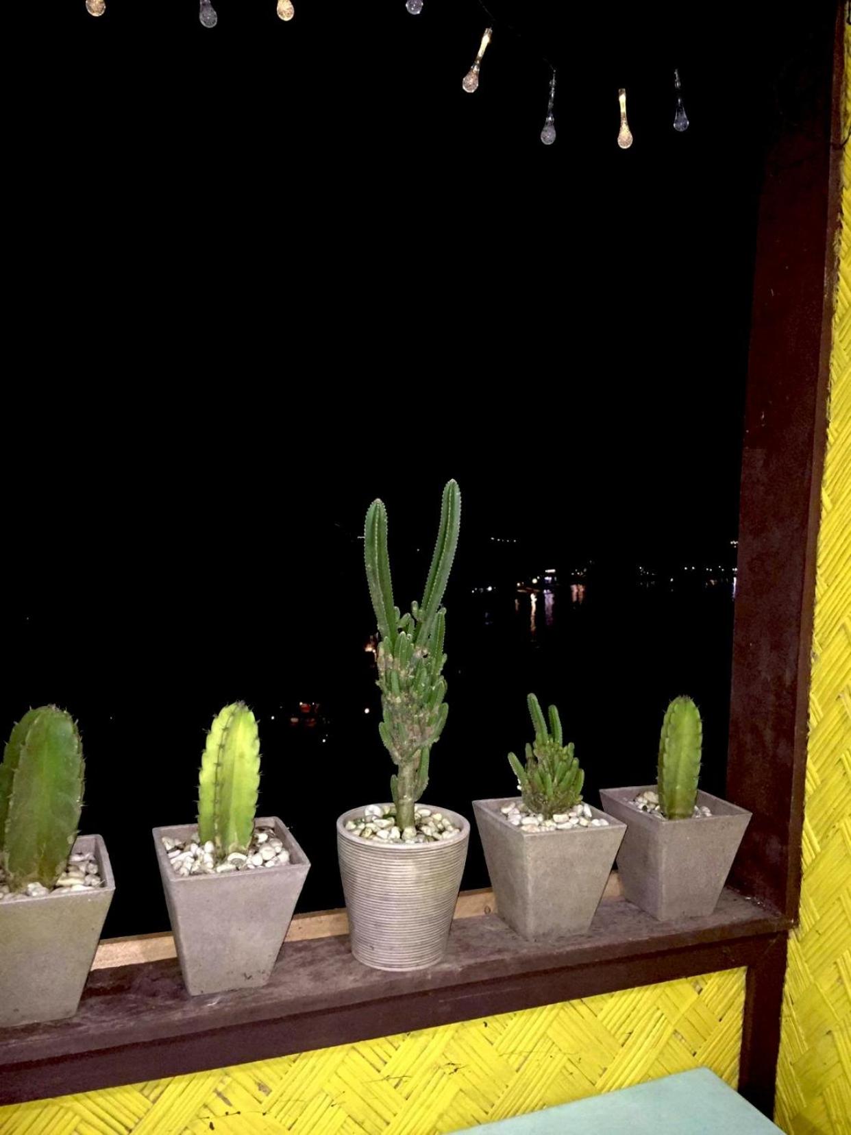 Photo 45